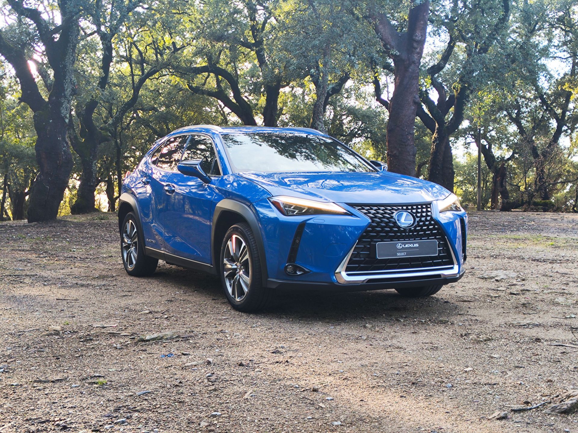 LEXUS UX 300E Luxury +