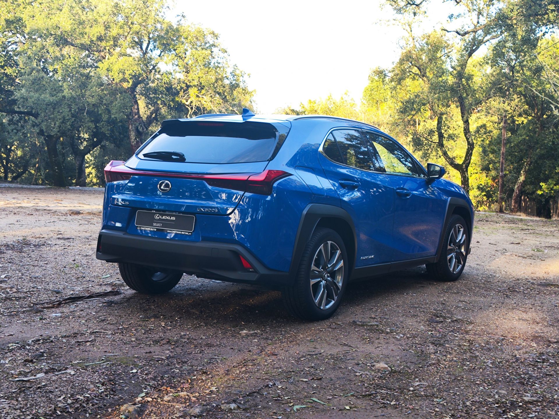 LEXUS UX 300E Luxury +