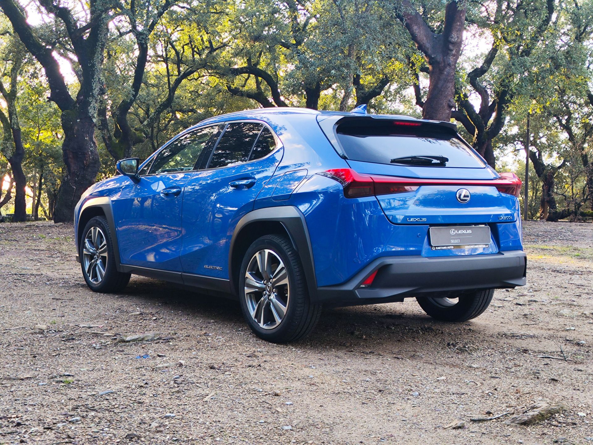 LEXUS UX 300E Luxury +