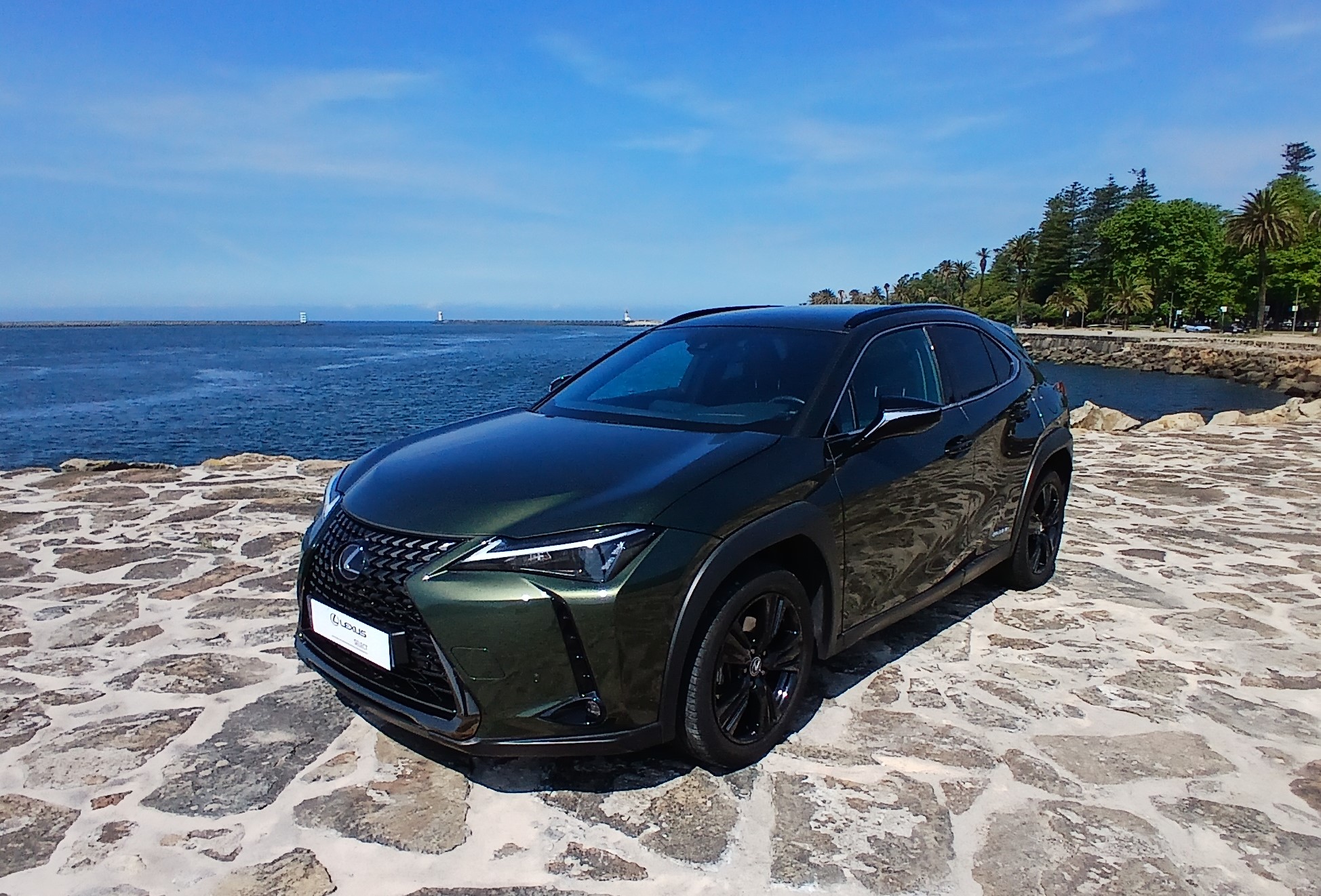 LEXUS UX 250H UX 250h Special Edition