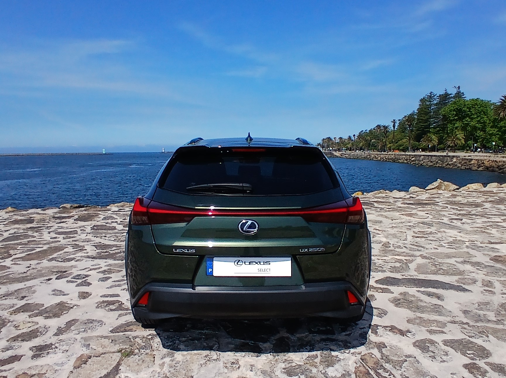LEXUS UX 250H UX 250h Special Edition