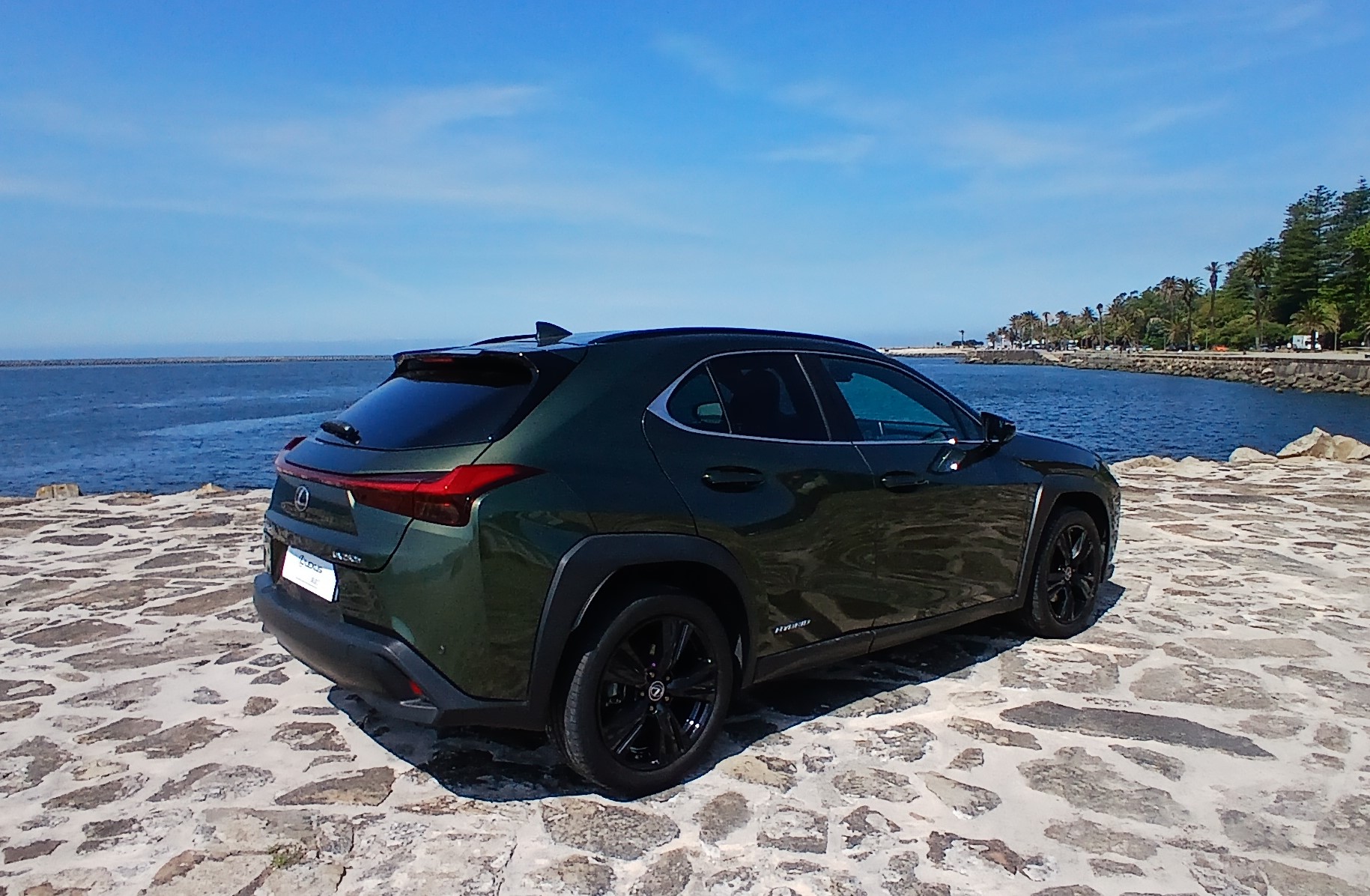 LEXUS UX 250H UX 250h Special Edition