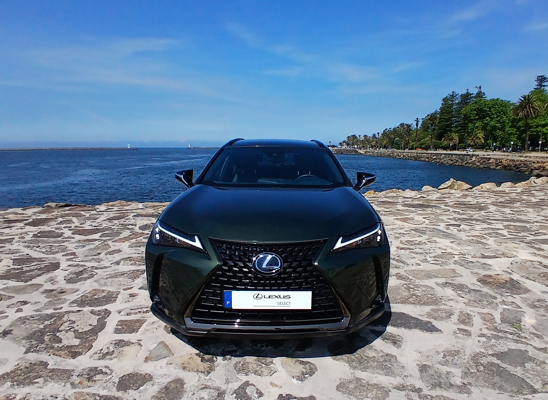 LEXUS UX 250H UX 250h Special Edition