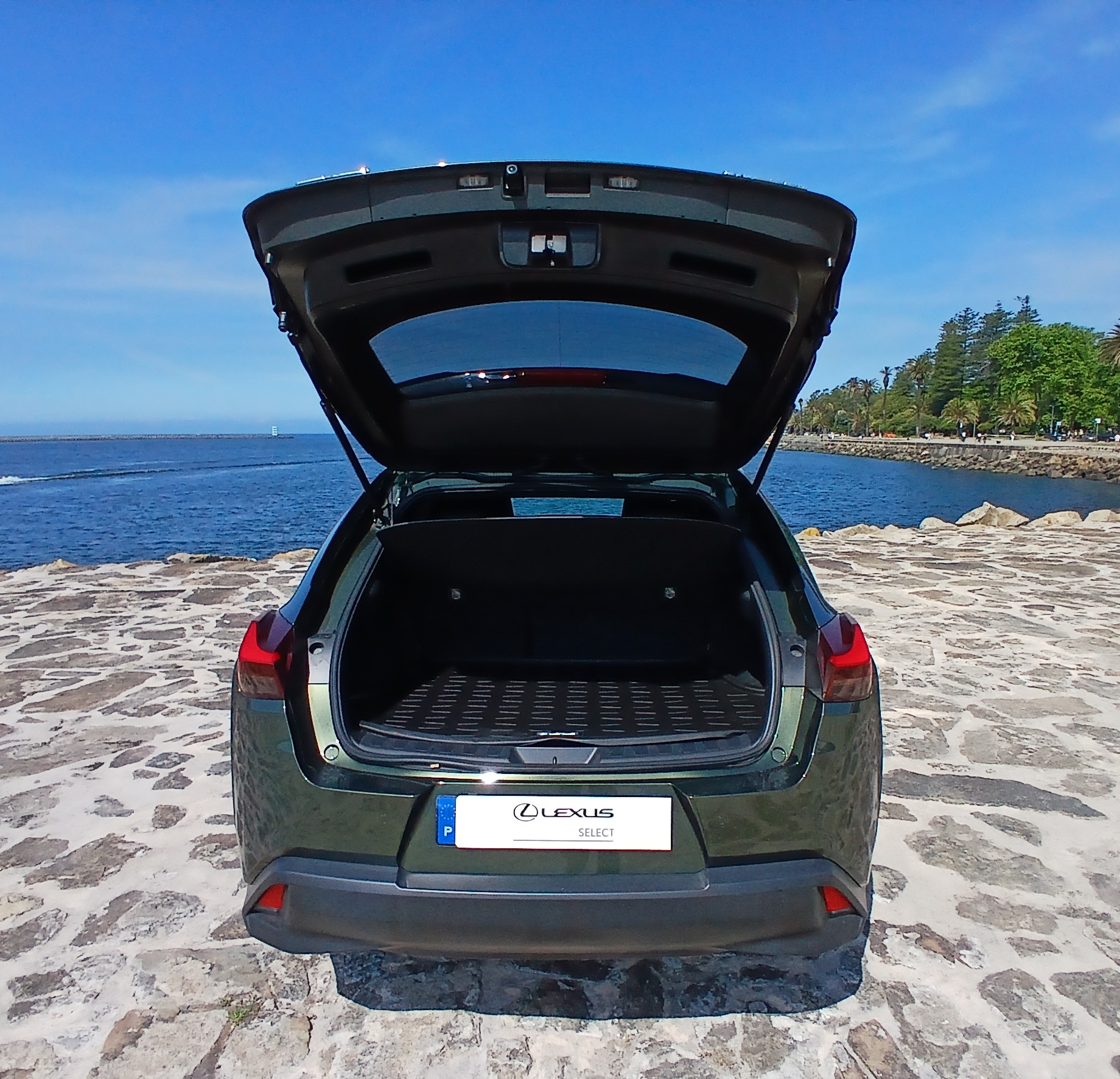 LEXUS UX 250H UX 250h Special Edition