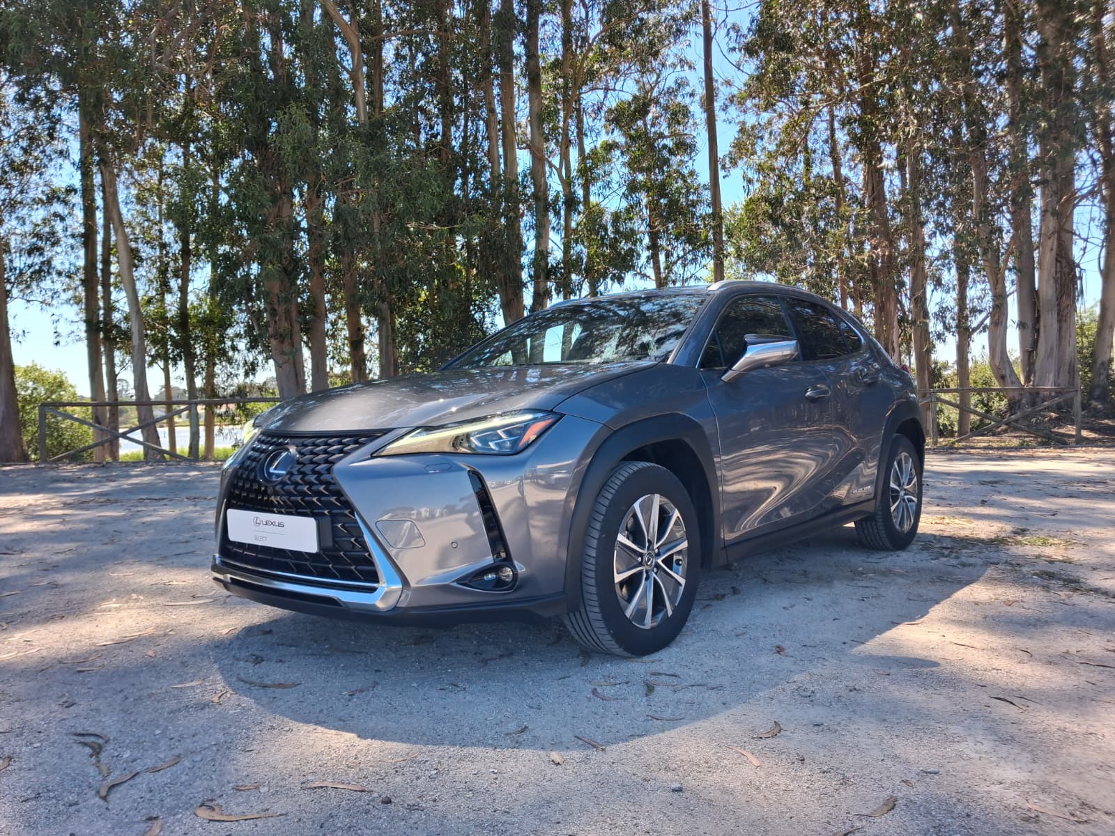 LEXUS UX 300E Luxury