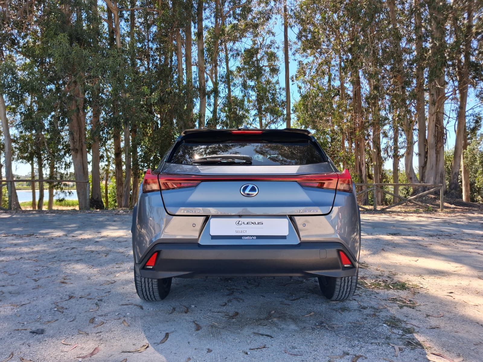 LEXUS UX 300E Luxury