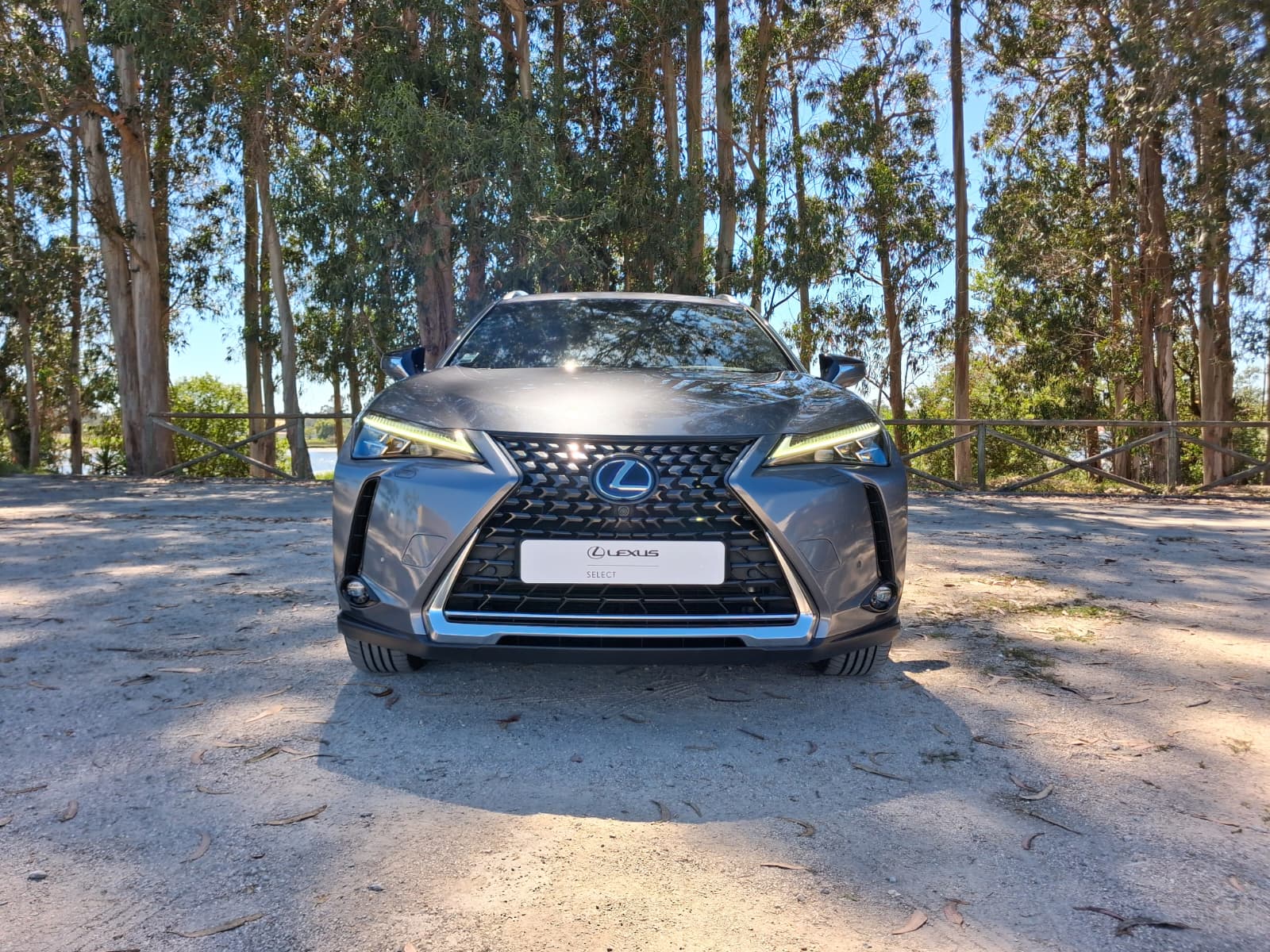 LEXUS UX 300E Luxury