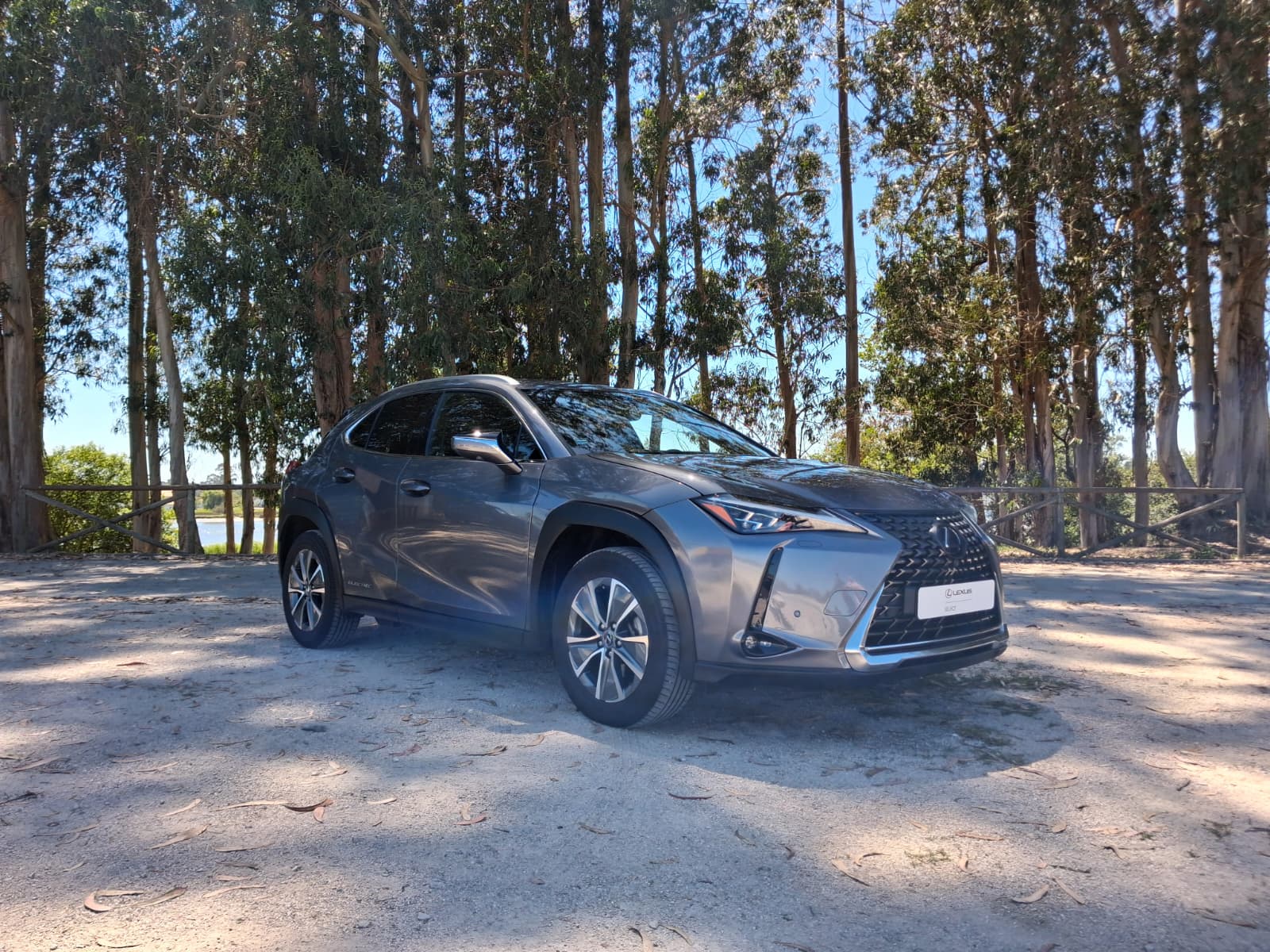 LEXUS UX 300E Luxury