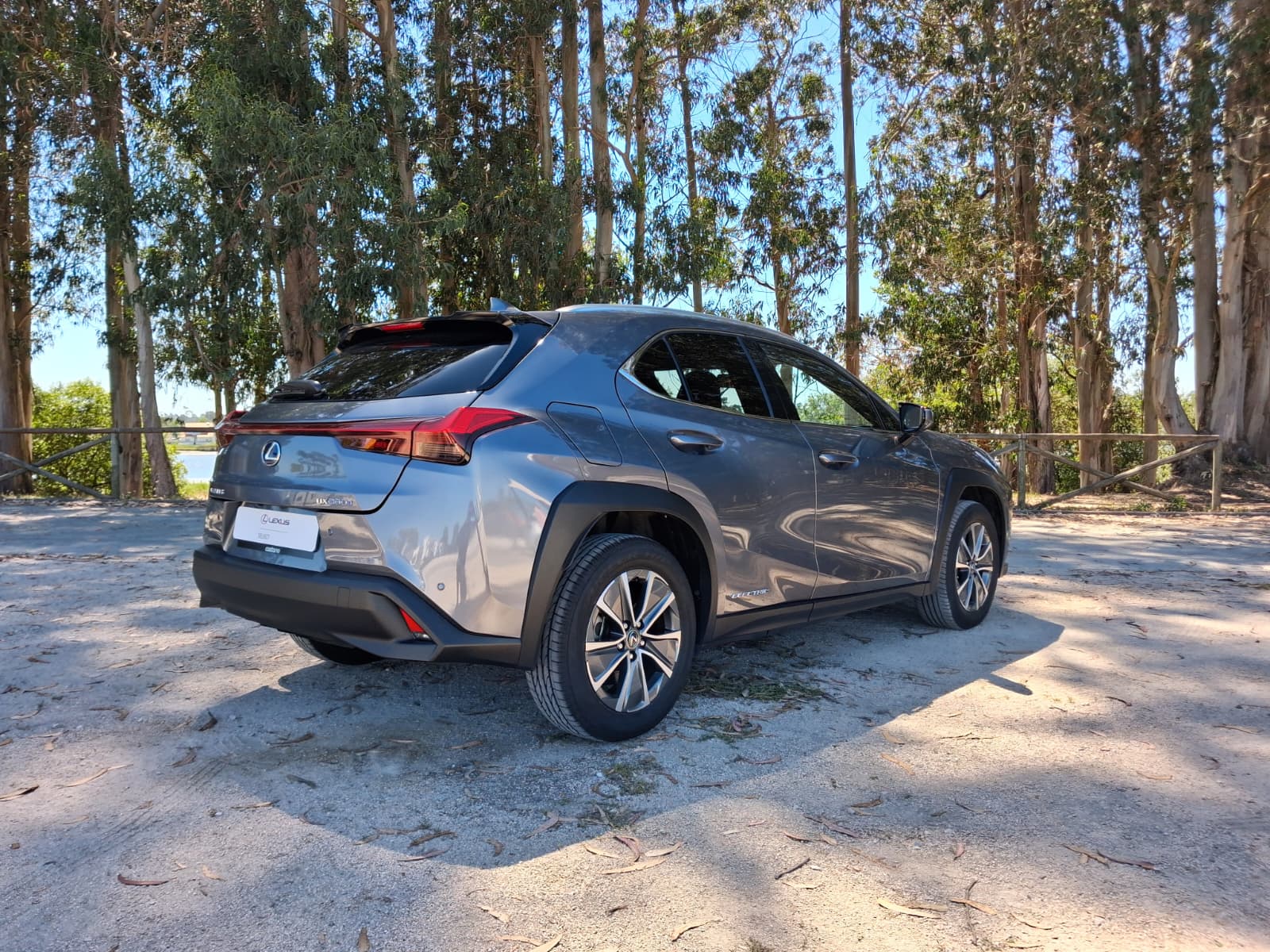 LEXUS UX 300E Luxury