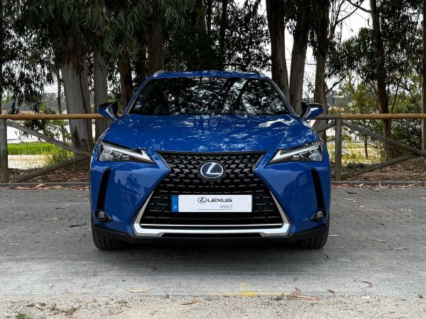 LEXUS UX EV UX 300e Luxury+TAE+JLL18