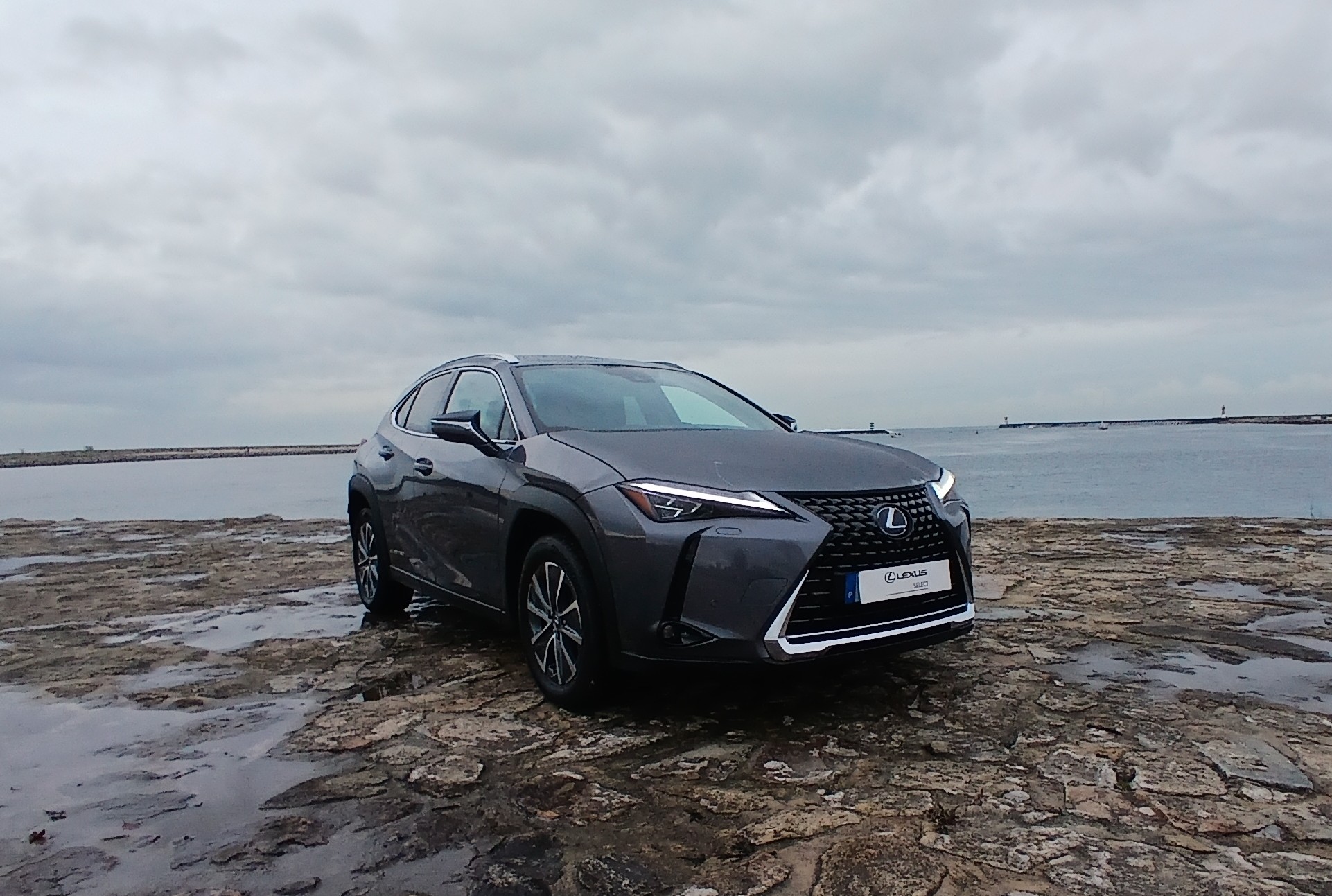 LEXUS UX 300E Luxury