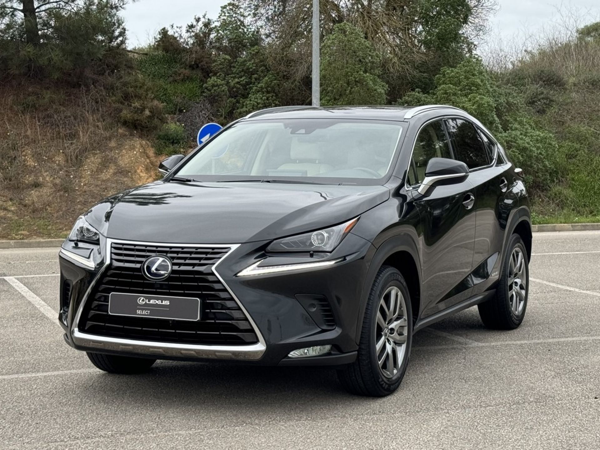 LEXUS NX 300H NX 300h Executive +