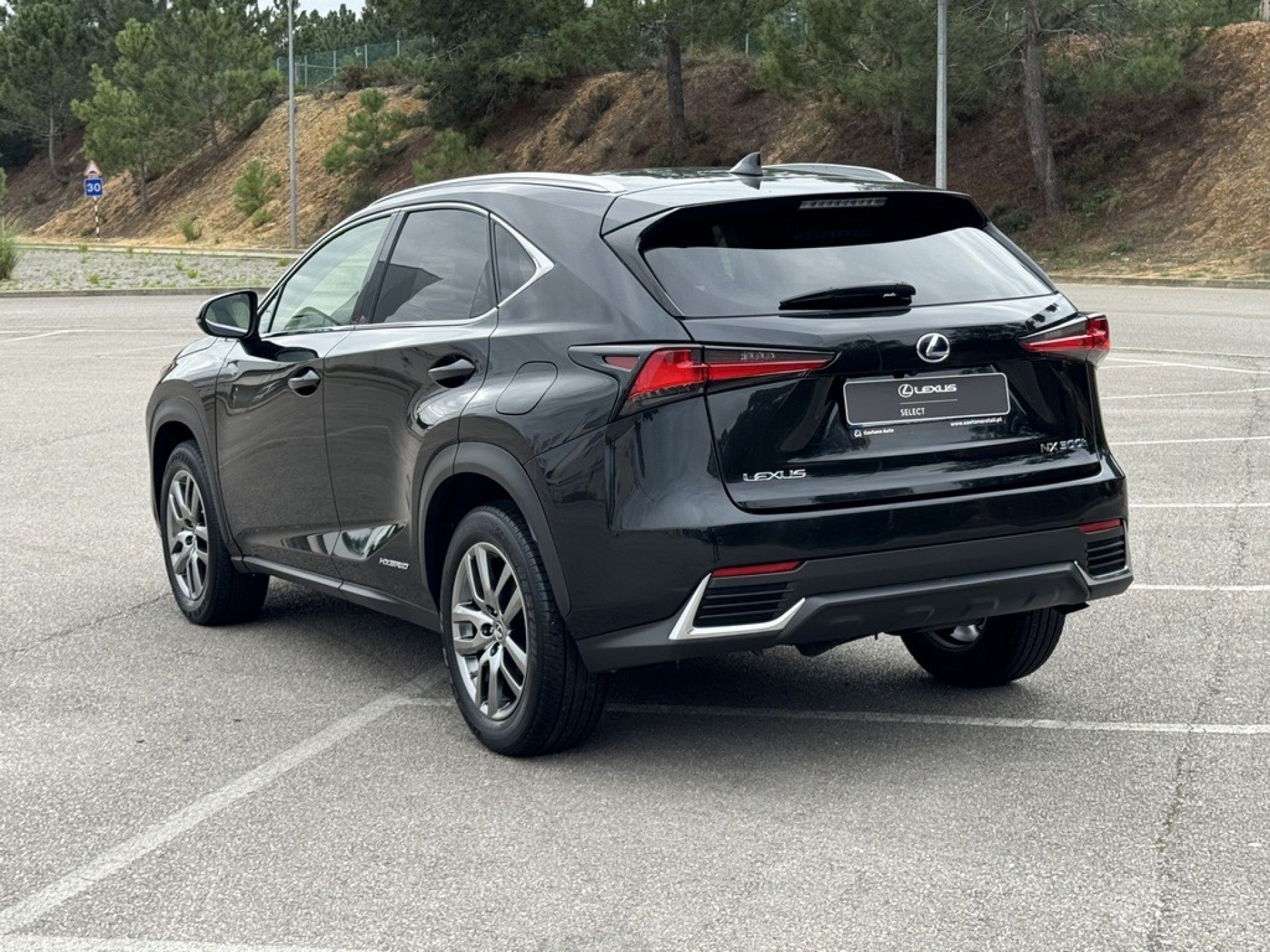 LEXUS NX 300H NX 300h Executive +