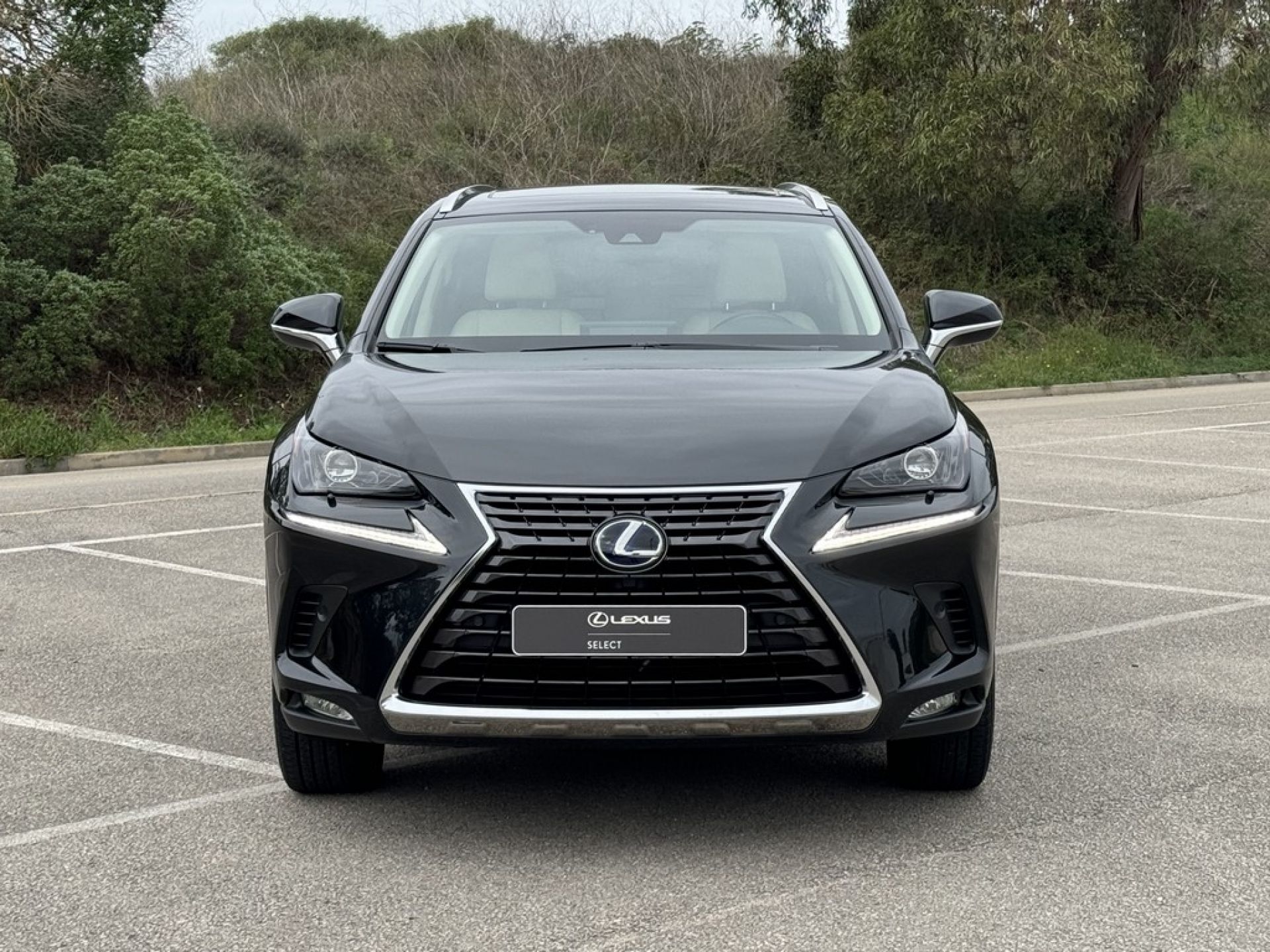 LEXUS NX 300H NX 300h Executive +