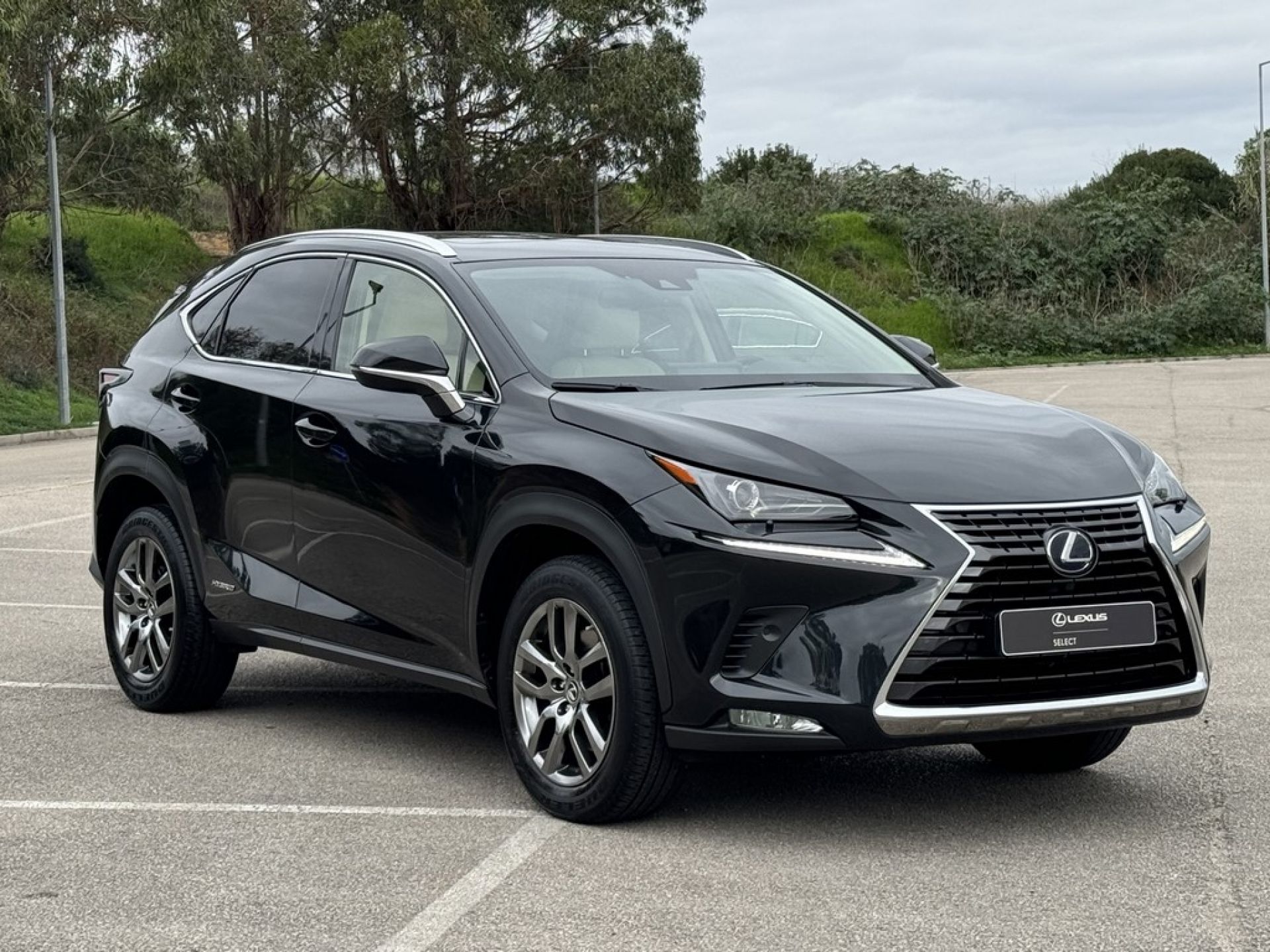 LEXUS NX 300H NX 300h Executive +