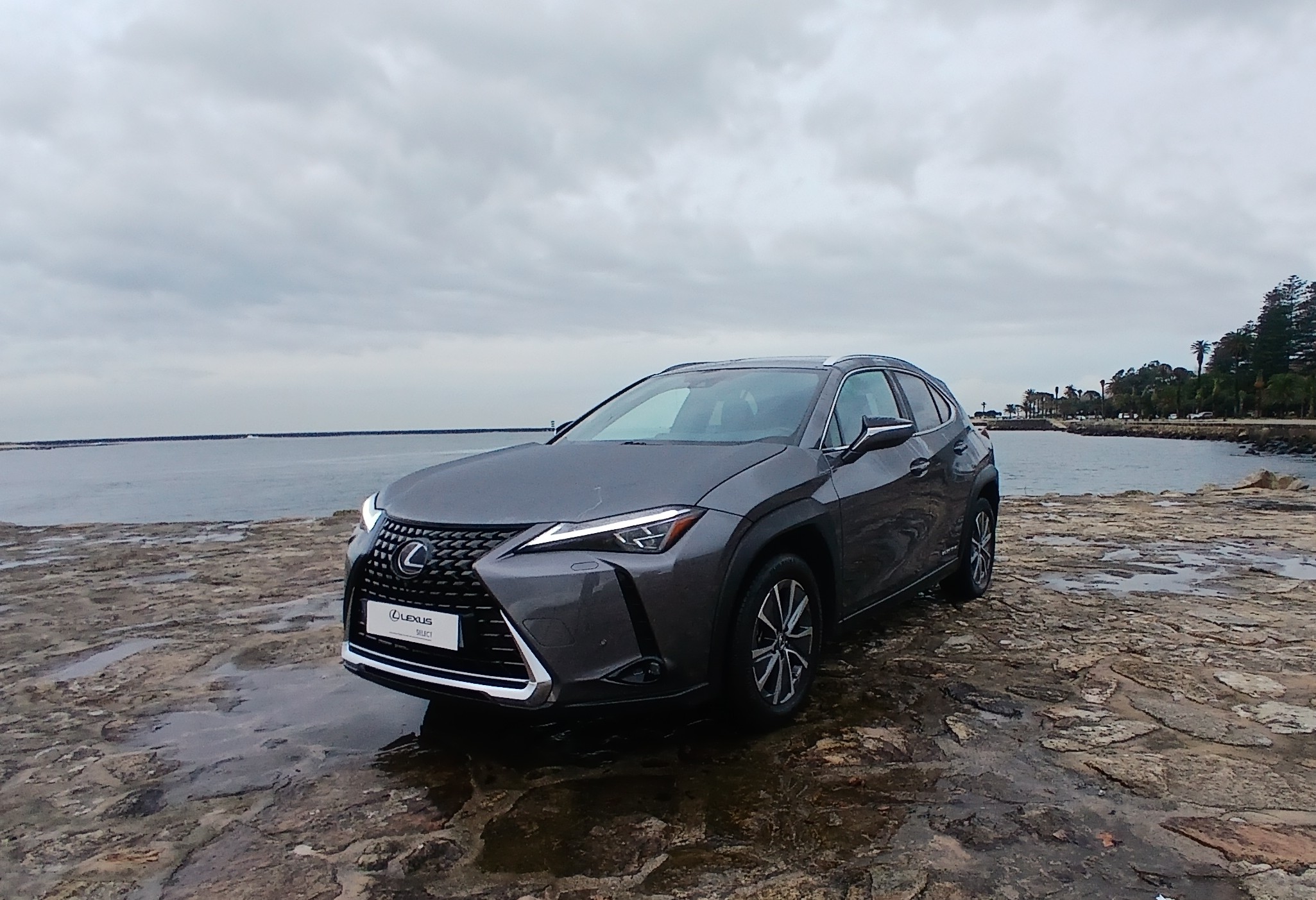 LEXUS UX 300E Luxury