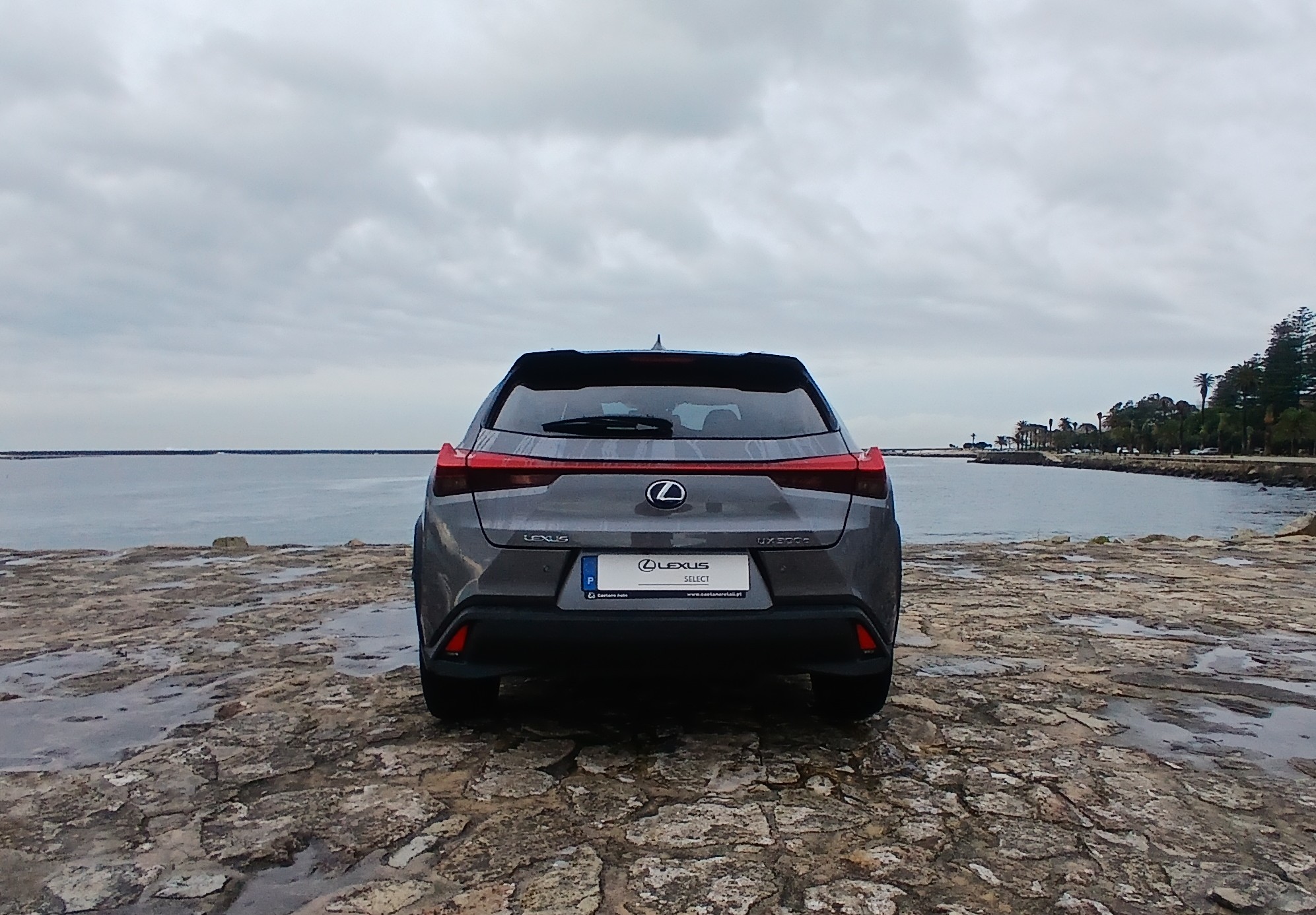 LEXUS UX 300E Luxury