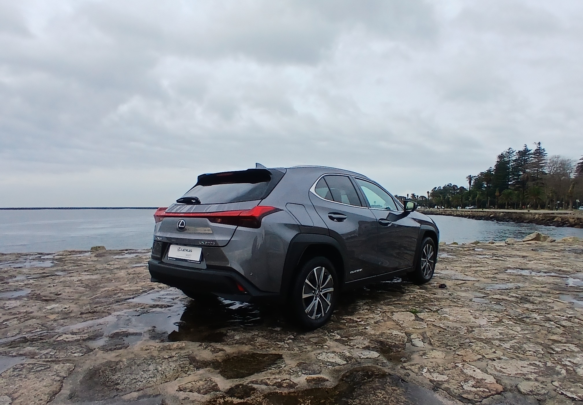 LEXUS UX 300E Luxury