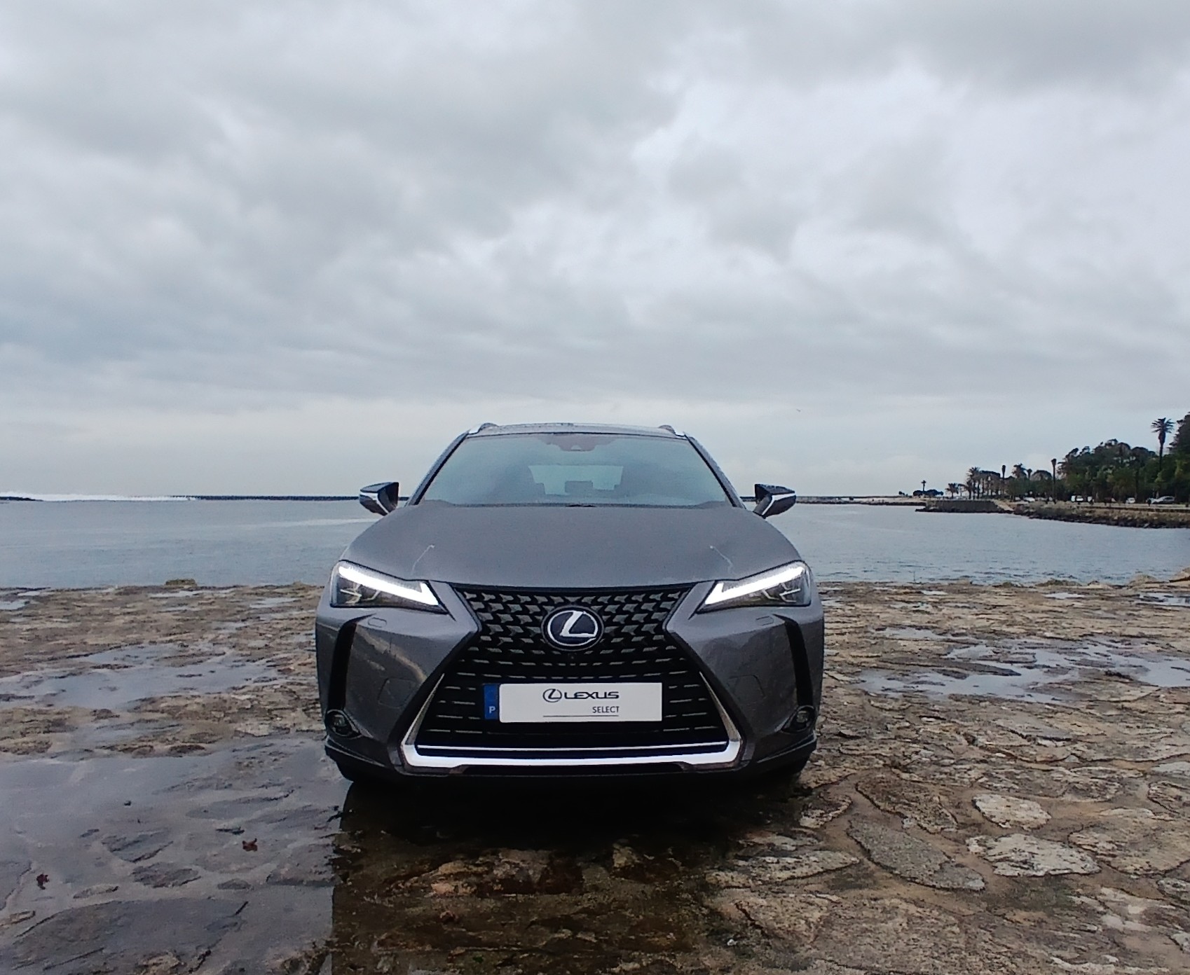 LEXUS UX 300E Luxury