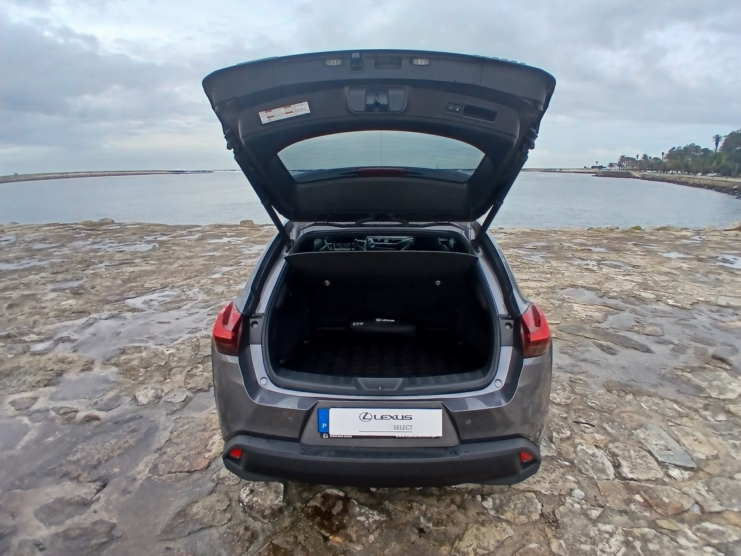 LEXUS UX 300E Luxury