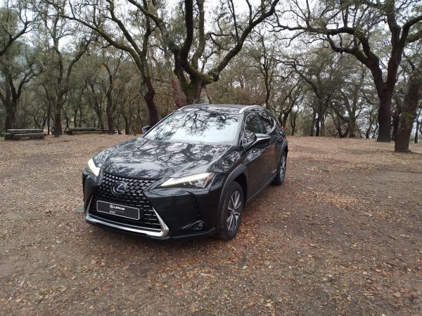 LEXUS UX 300e Luxury