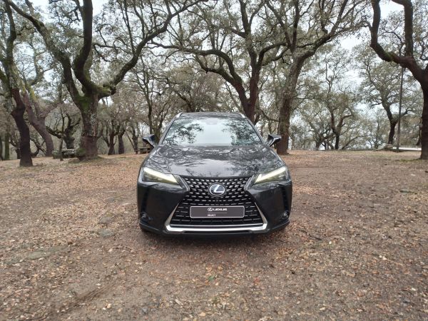 LEXUS UX 300e Luxury