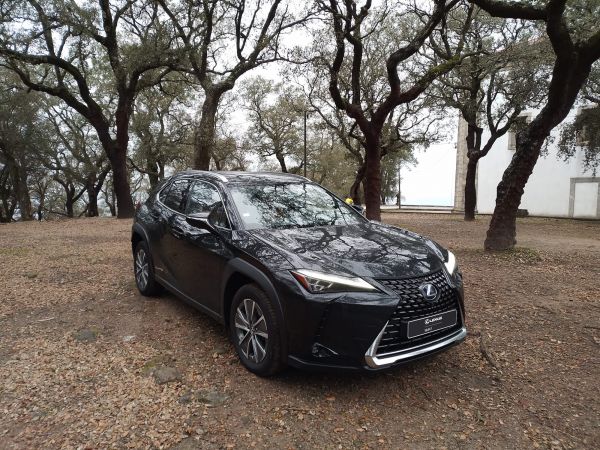 LEXUS UX 300e Luxury