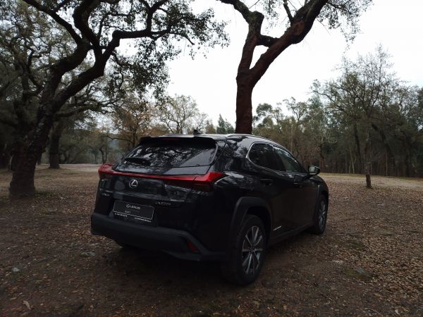 LEXUS UX 300e Luxury