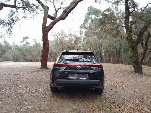 LEXUS UX 300e Luxury