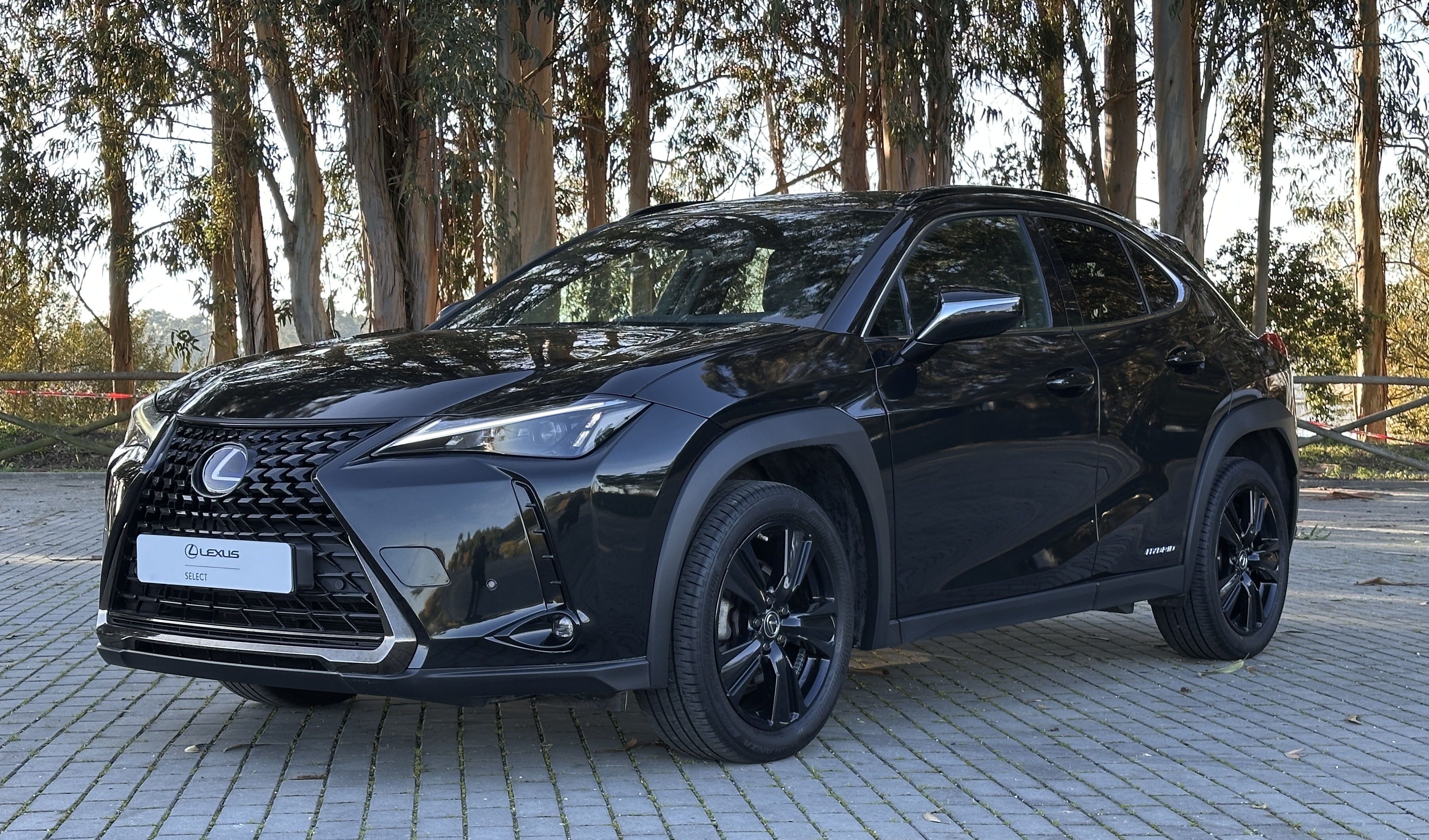 LEXUS UX 250H UX 250h Special Edition