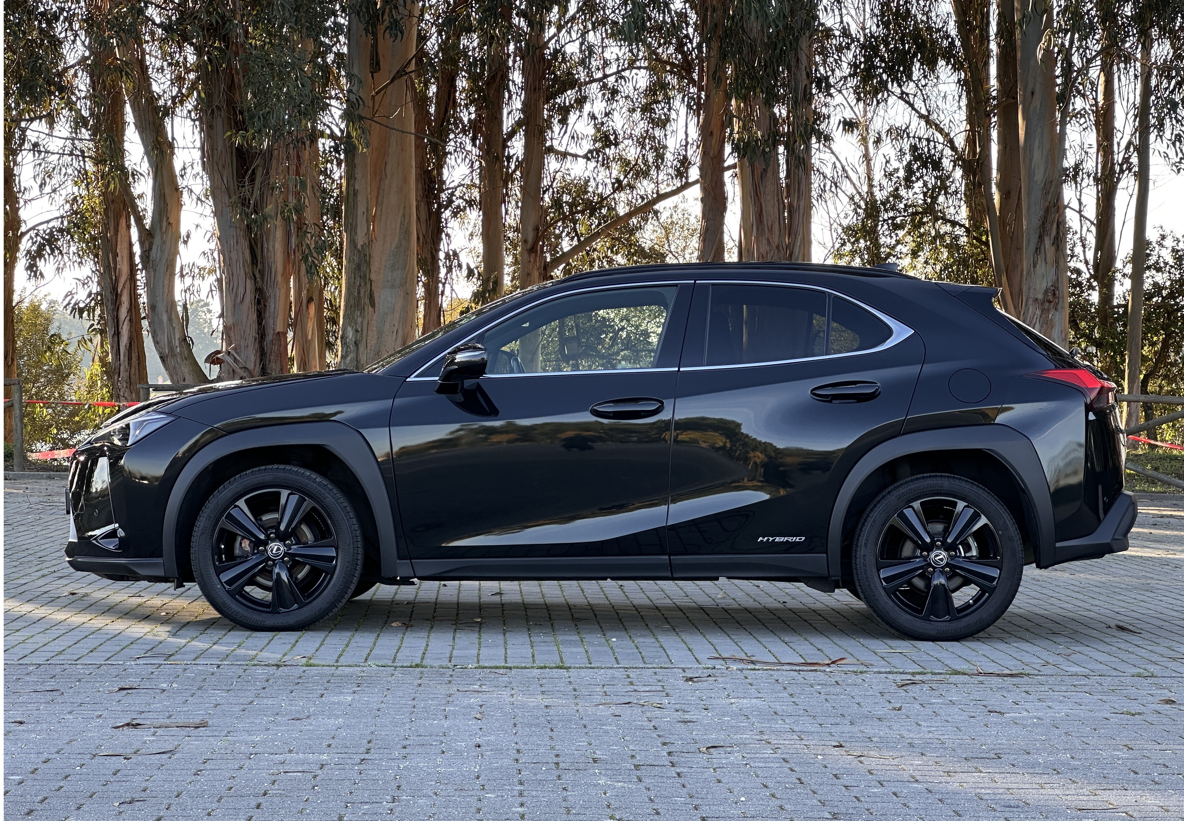 LEXUS UX 250H UX 250h Special Edition