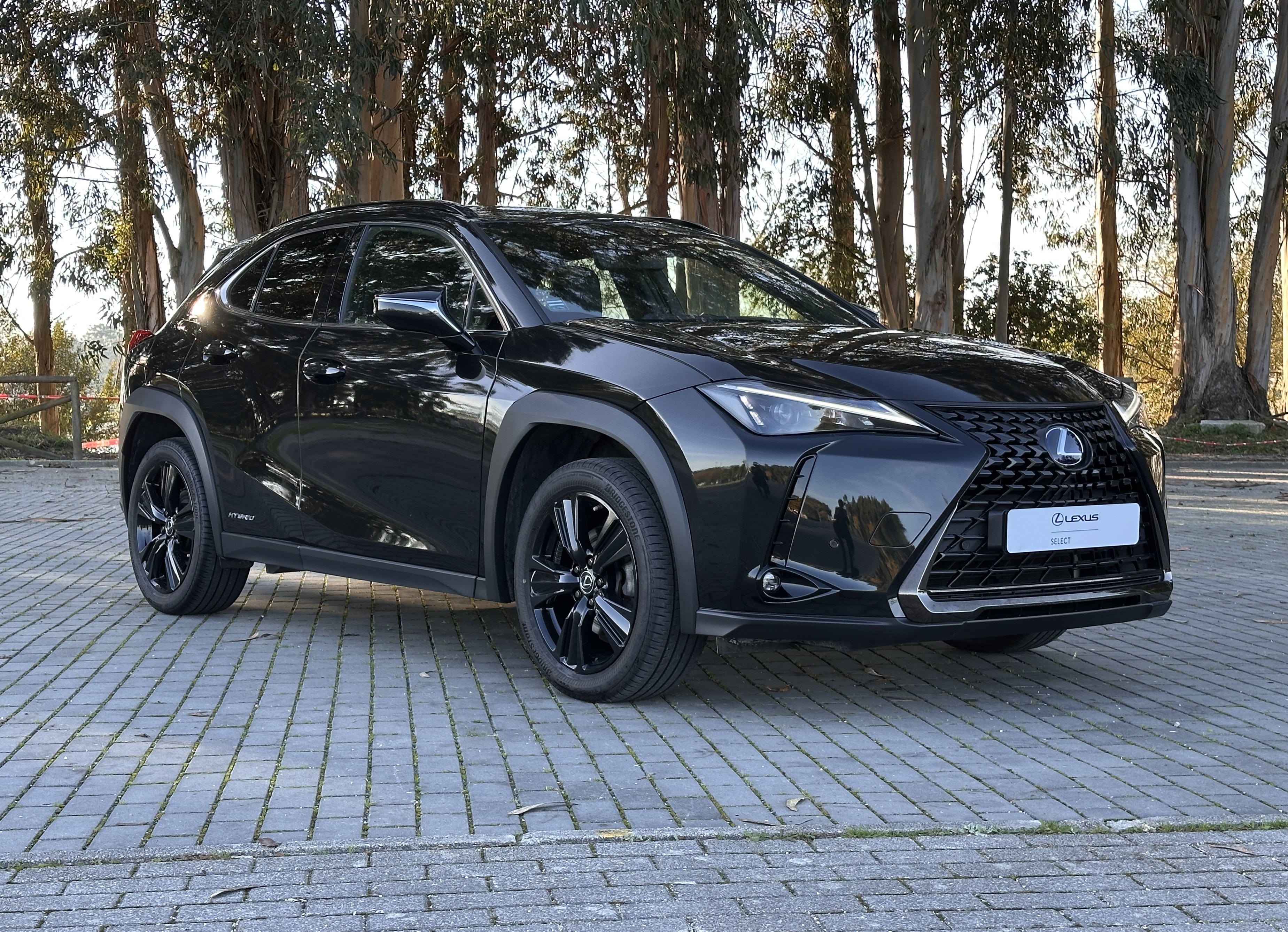 LEXUS UX 250H UX 250h Special Edition