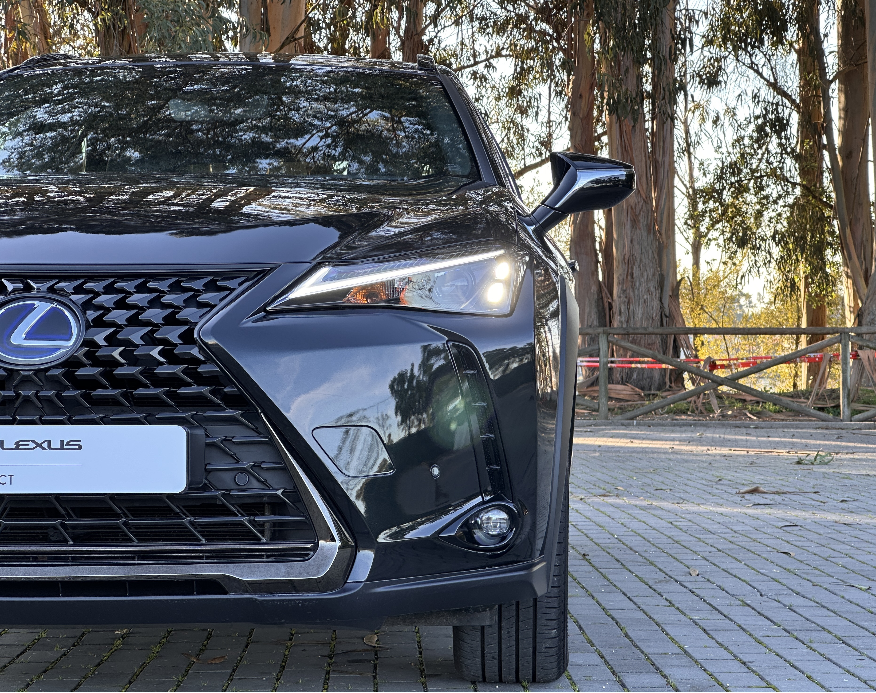 LEXUS UX 250H UX 250h Special Edition