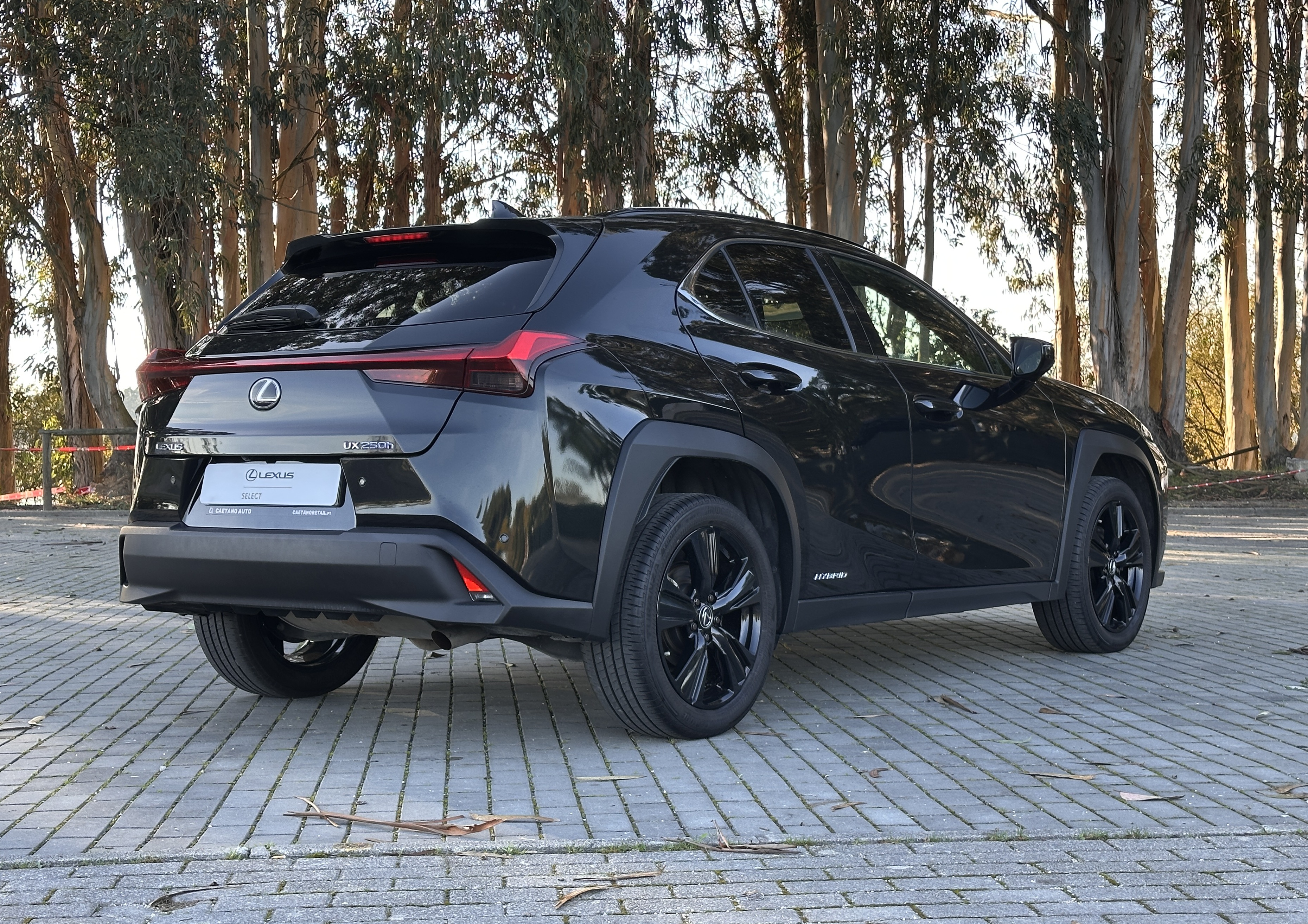 LEXUS UX 250H UX 250h Special Edition