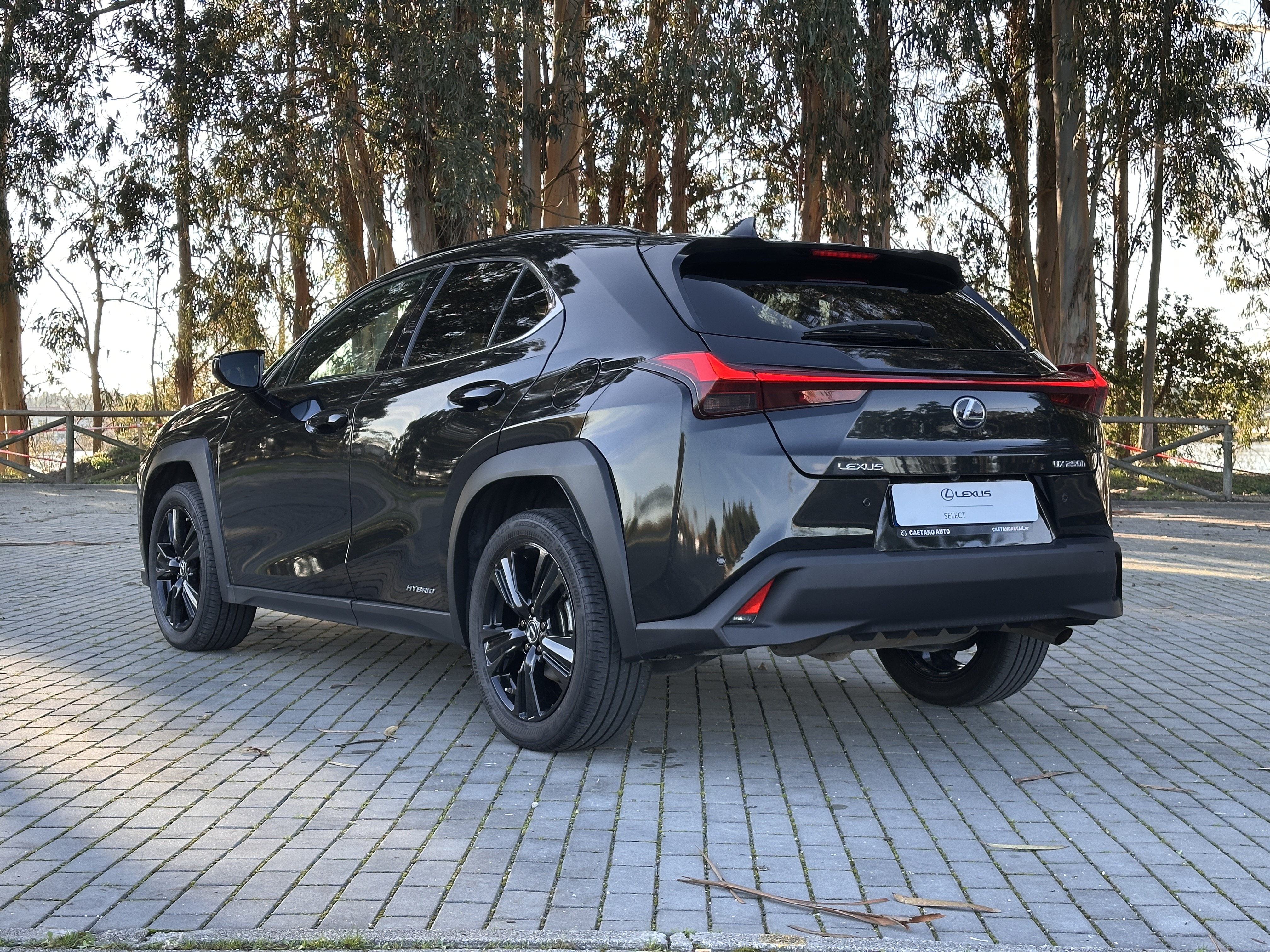 LEXUS UX 250H UX 250h Special Edition