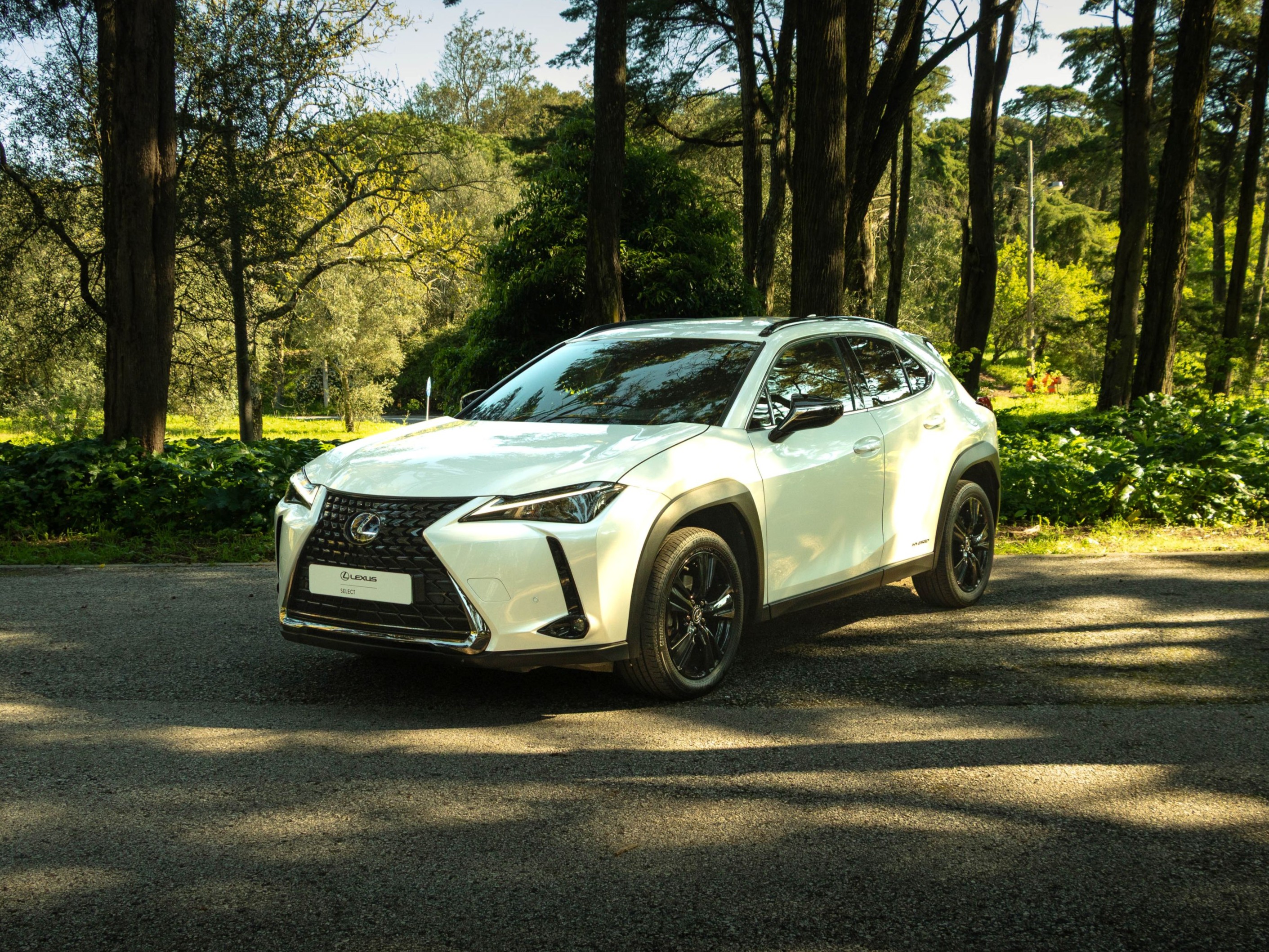 LEXUS UX 250H UX 250h Special Edition