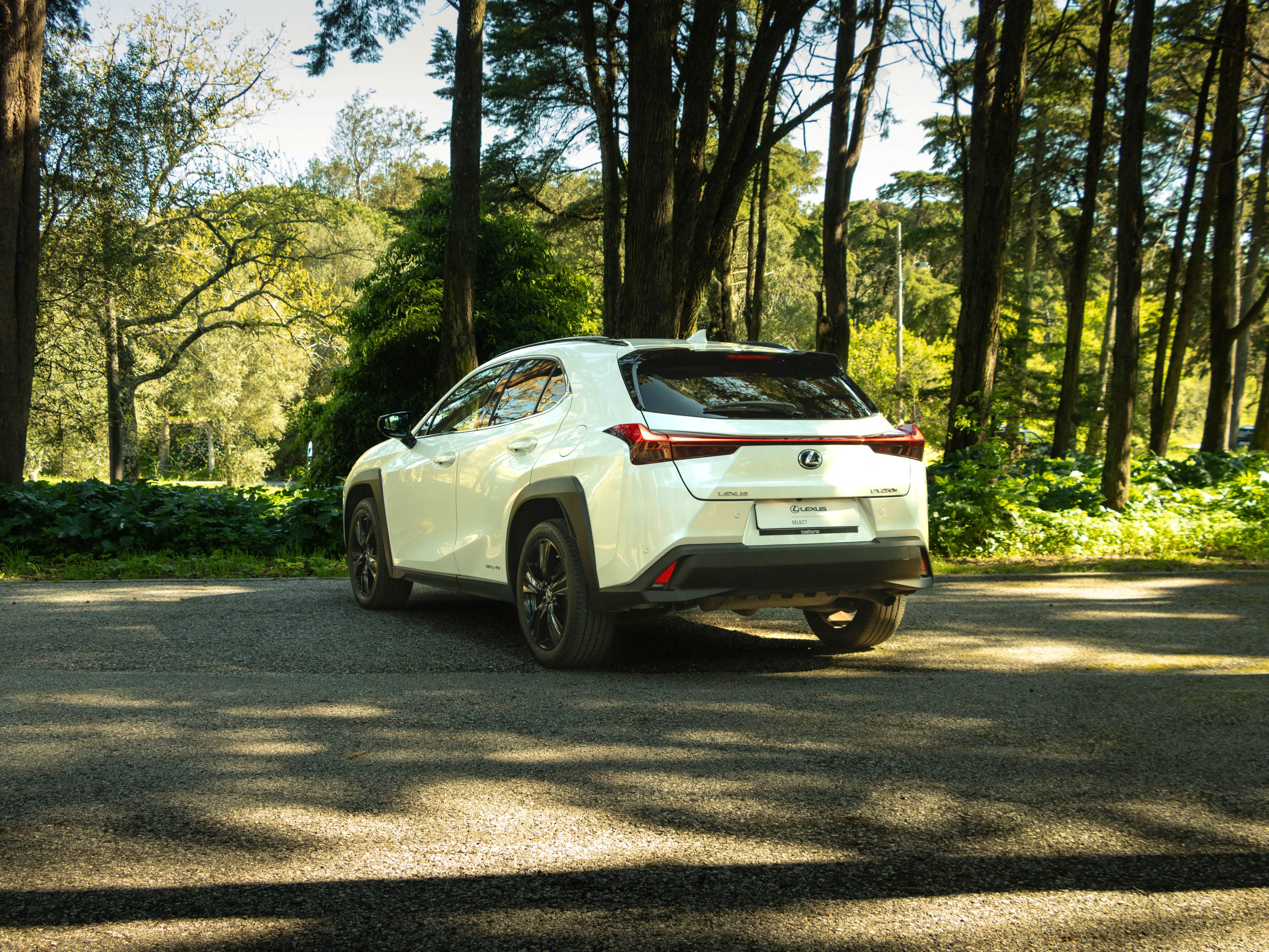LEXUS UX 250H UX 250h Special Edition