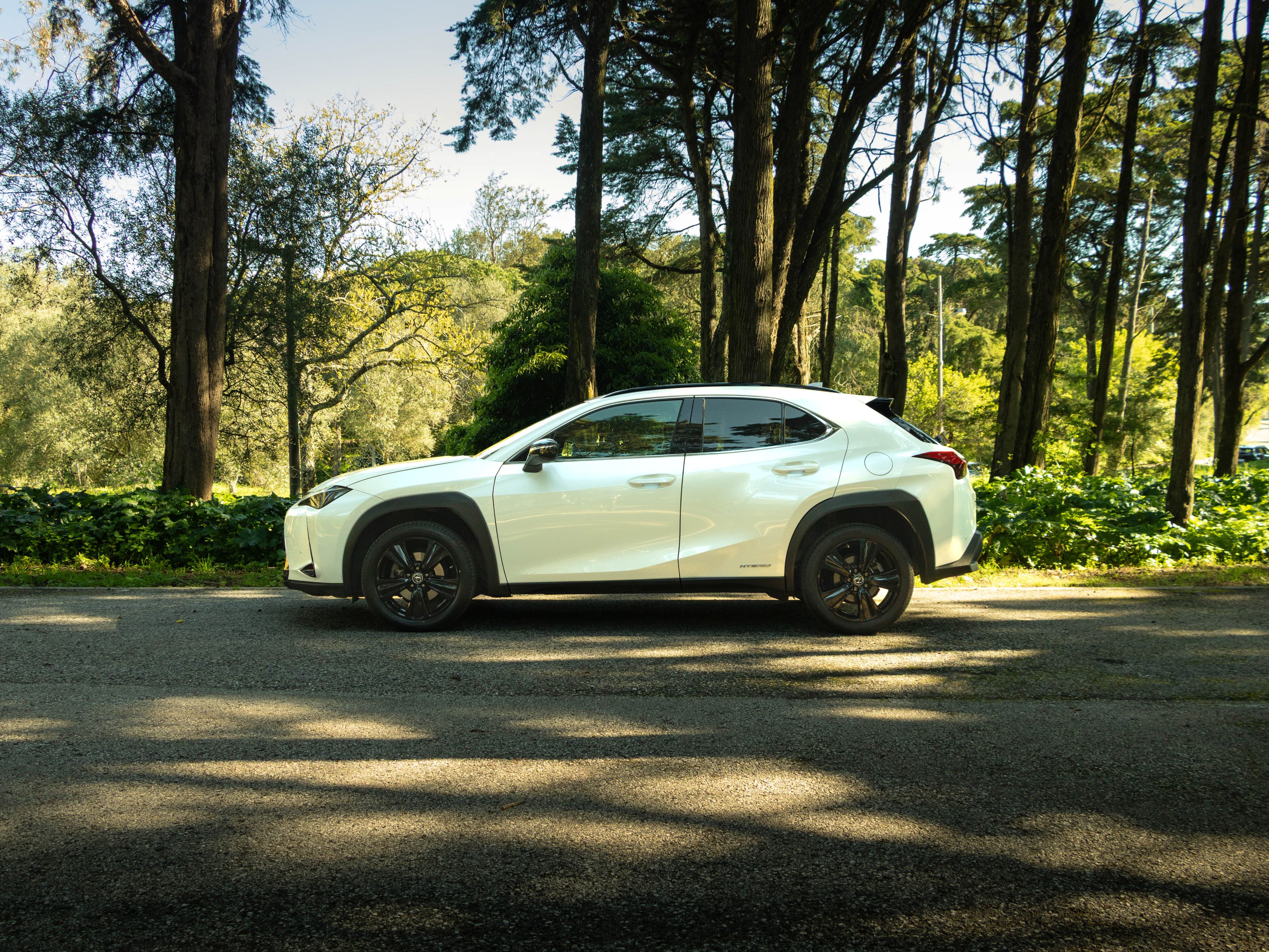 LEXUS UX 250H UX 250h Special Edition