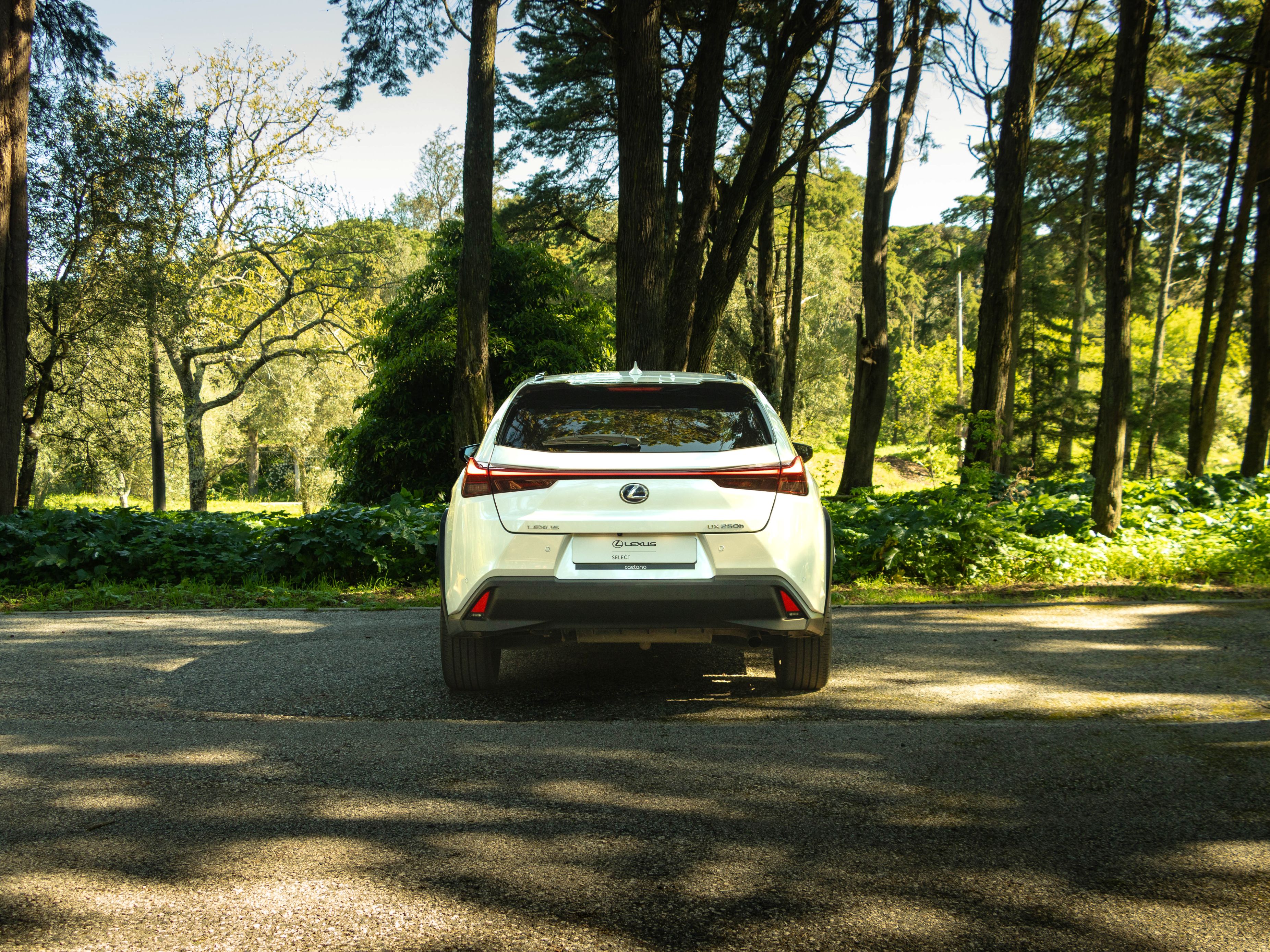 LEXUS UX 250H UX 250h Special Edition
