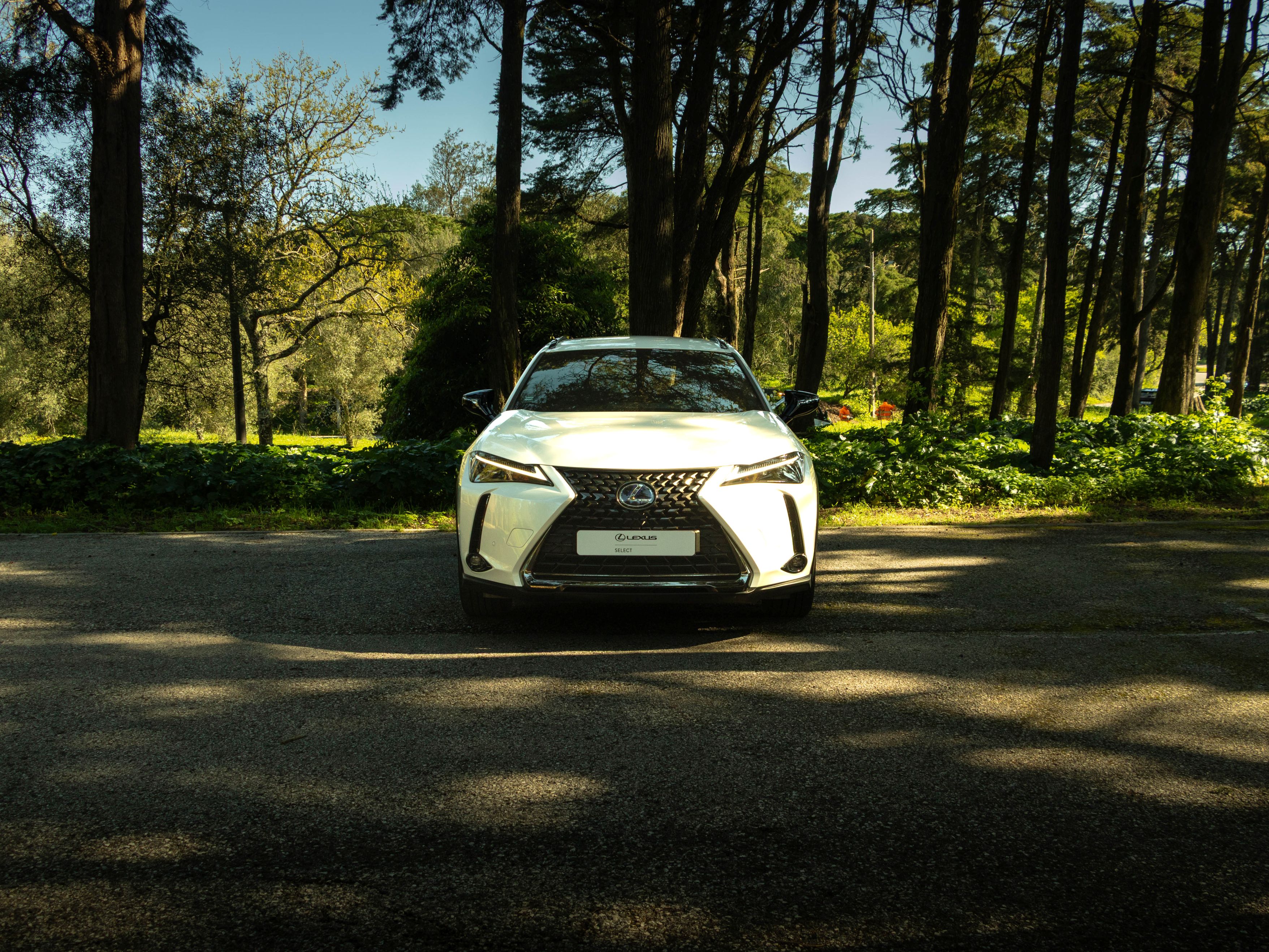 LEXUS UX 250H UX 250h Special Edition