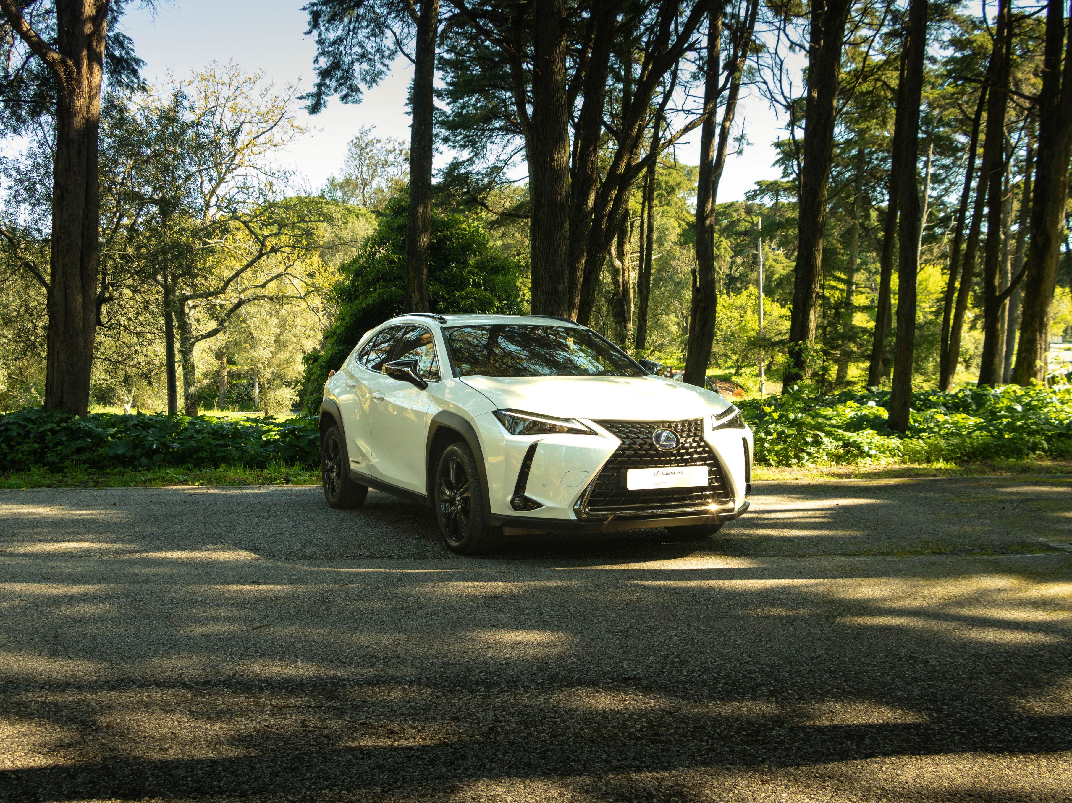 LEXUS UX 250H UX 250h Special Edition