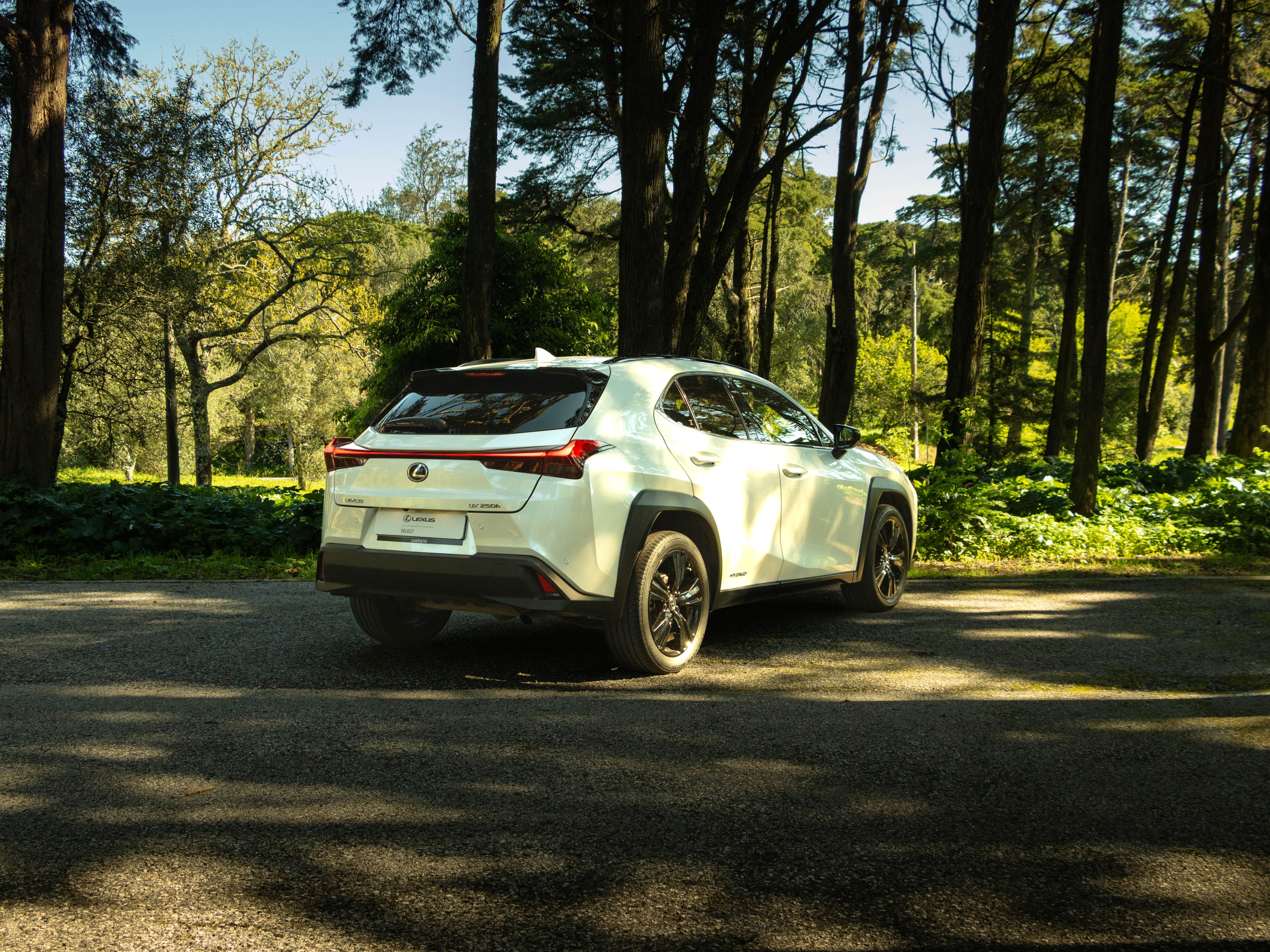LEXUS UX 250H UX 250h Special Edition