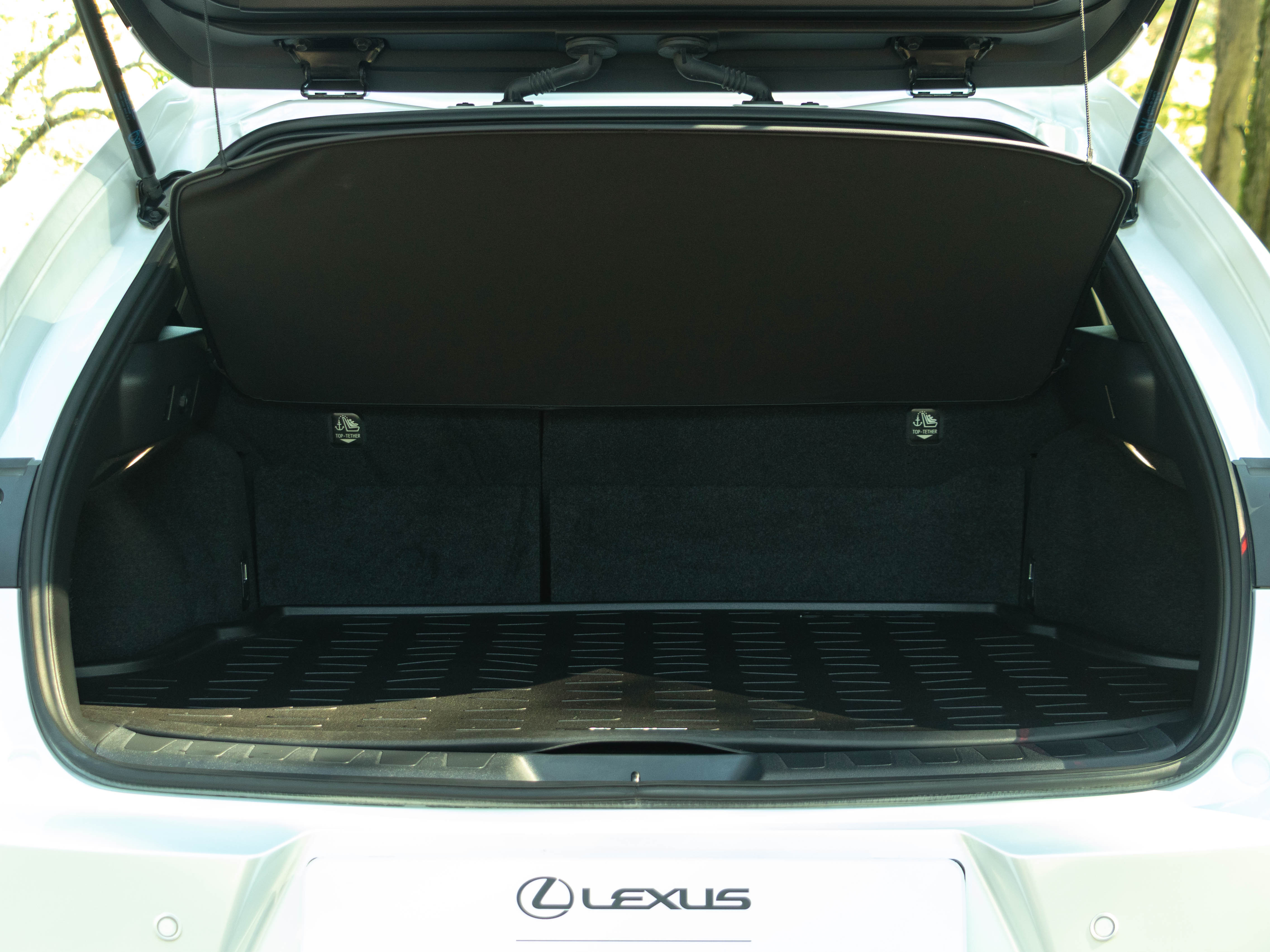 LEXUS UX 250H UX 250h Special Edition