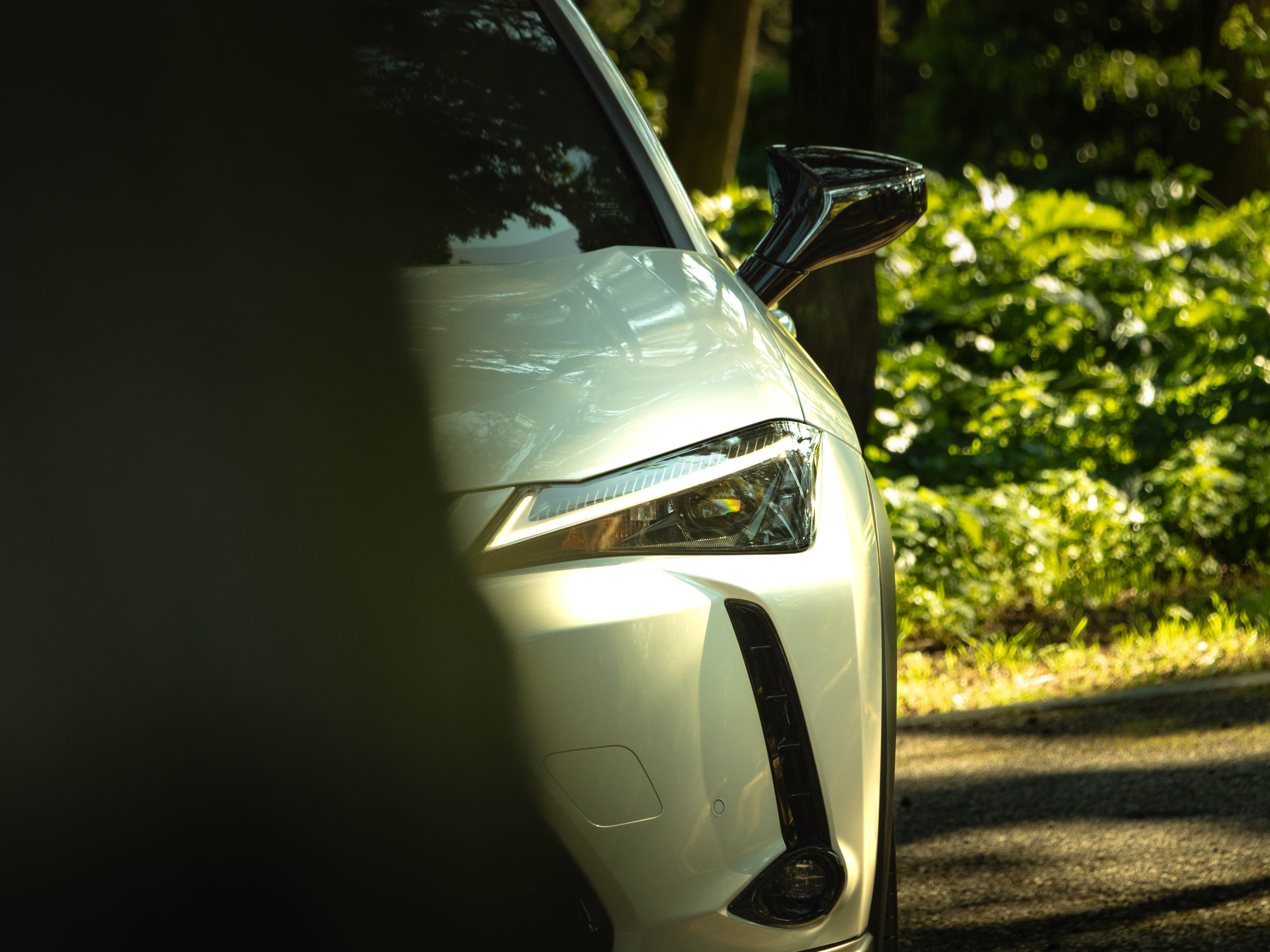 LEXUS UX 250H UX 250h Special Edition