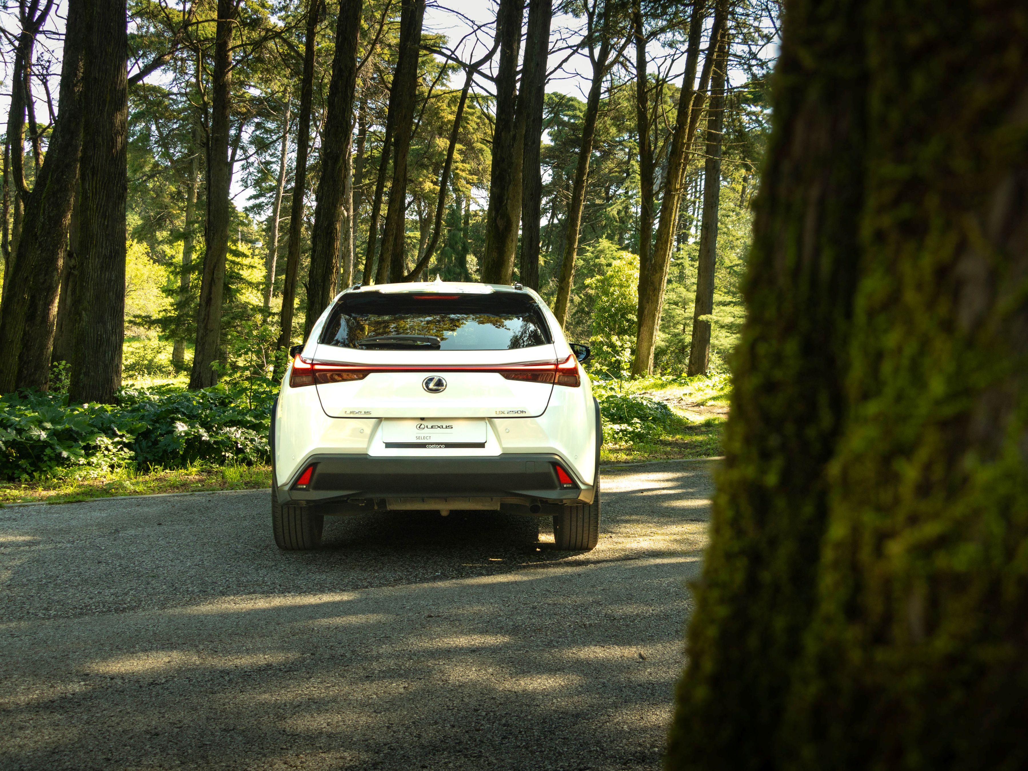 LEXUS UX 250H UX 250h Special Edition