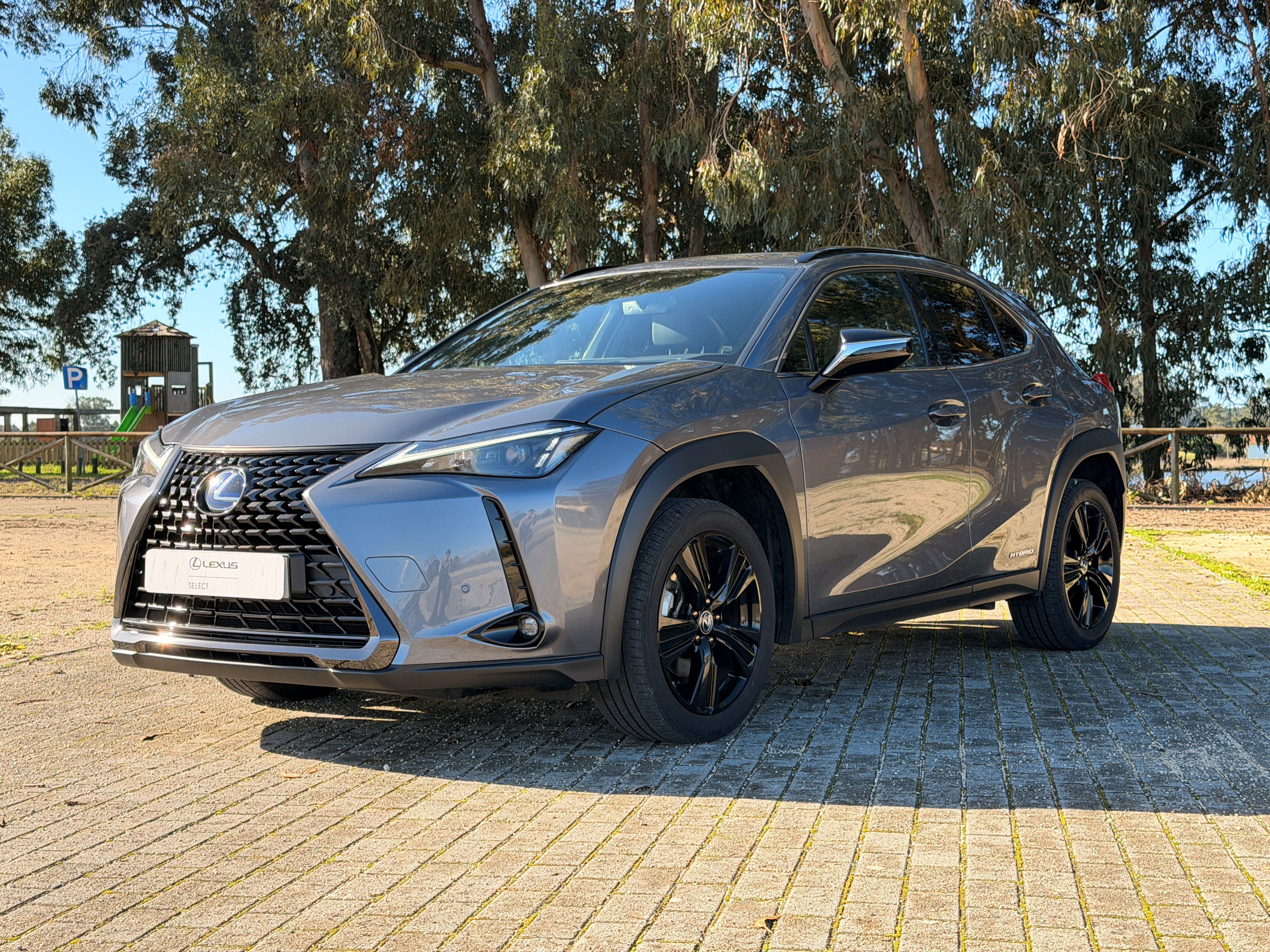 LEXUS UX 250H UX 250h Special Edition