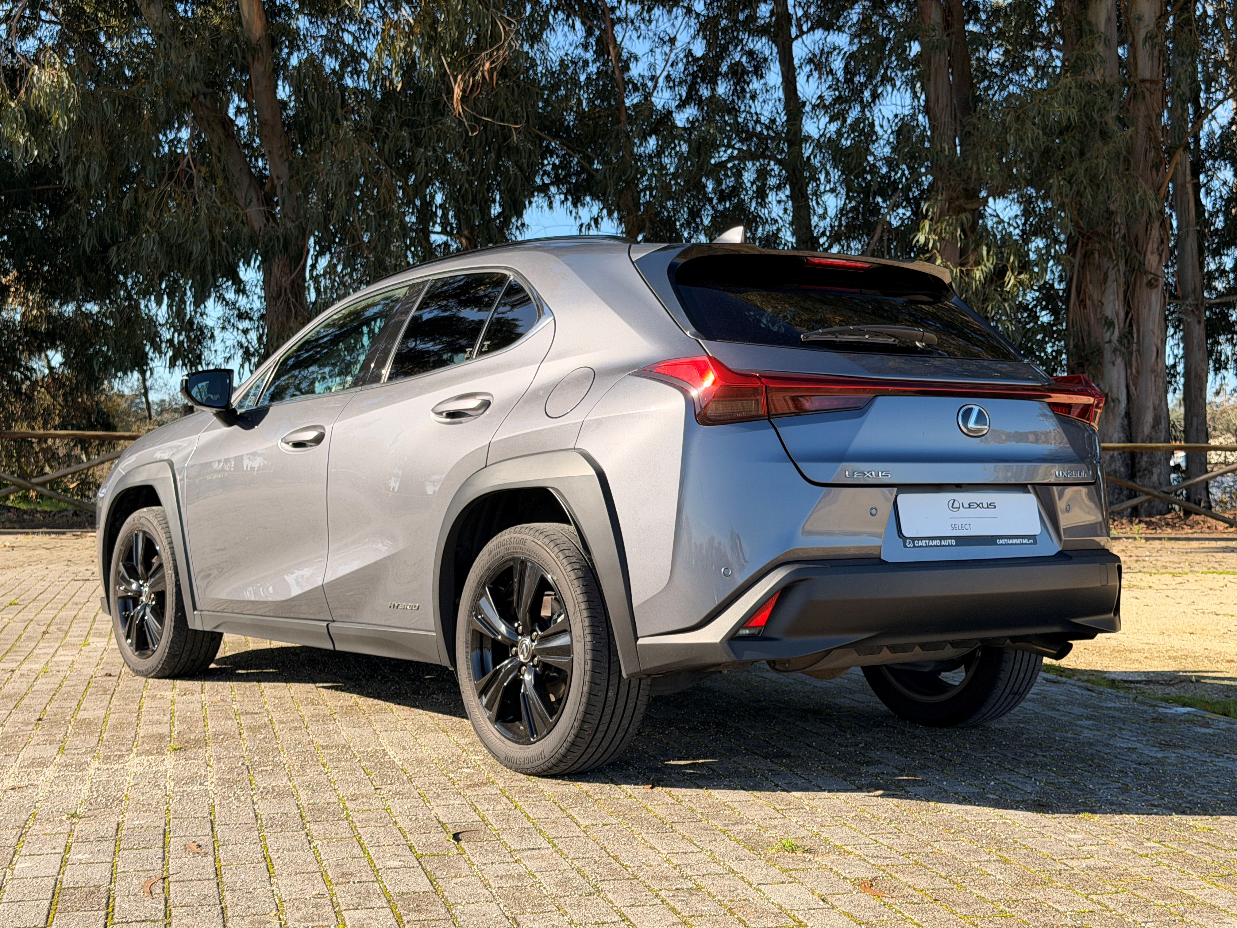 LEXUS UX 250H UX 250h Special Edition
