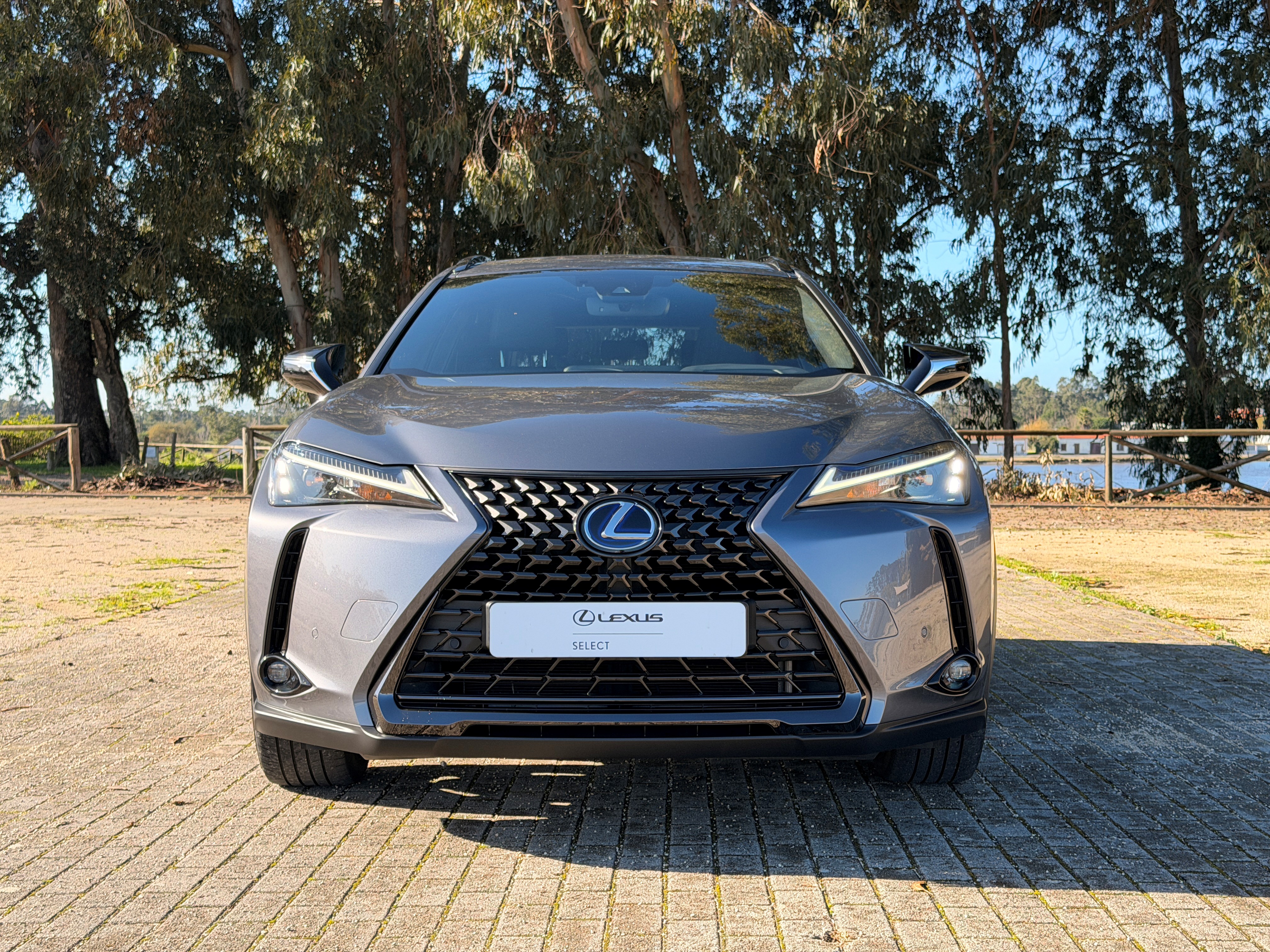 LEXUS UX 250H UX 250h Special Edition