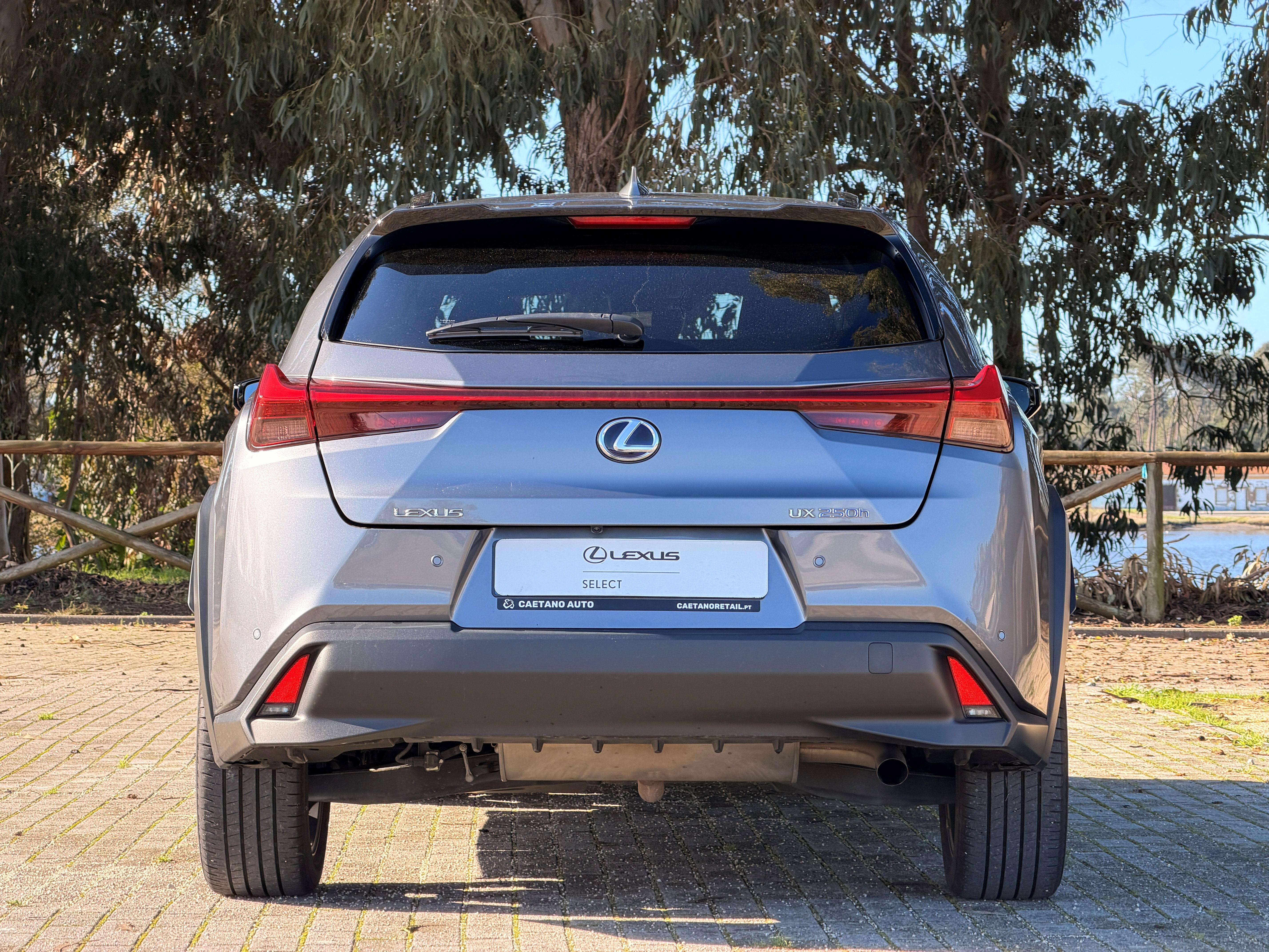 LEXUS UX 250H UX 250h Special Edition