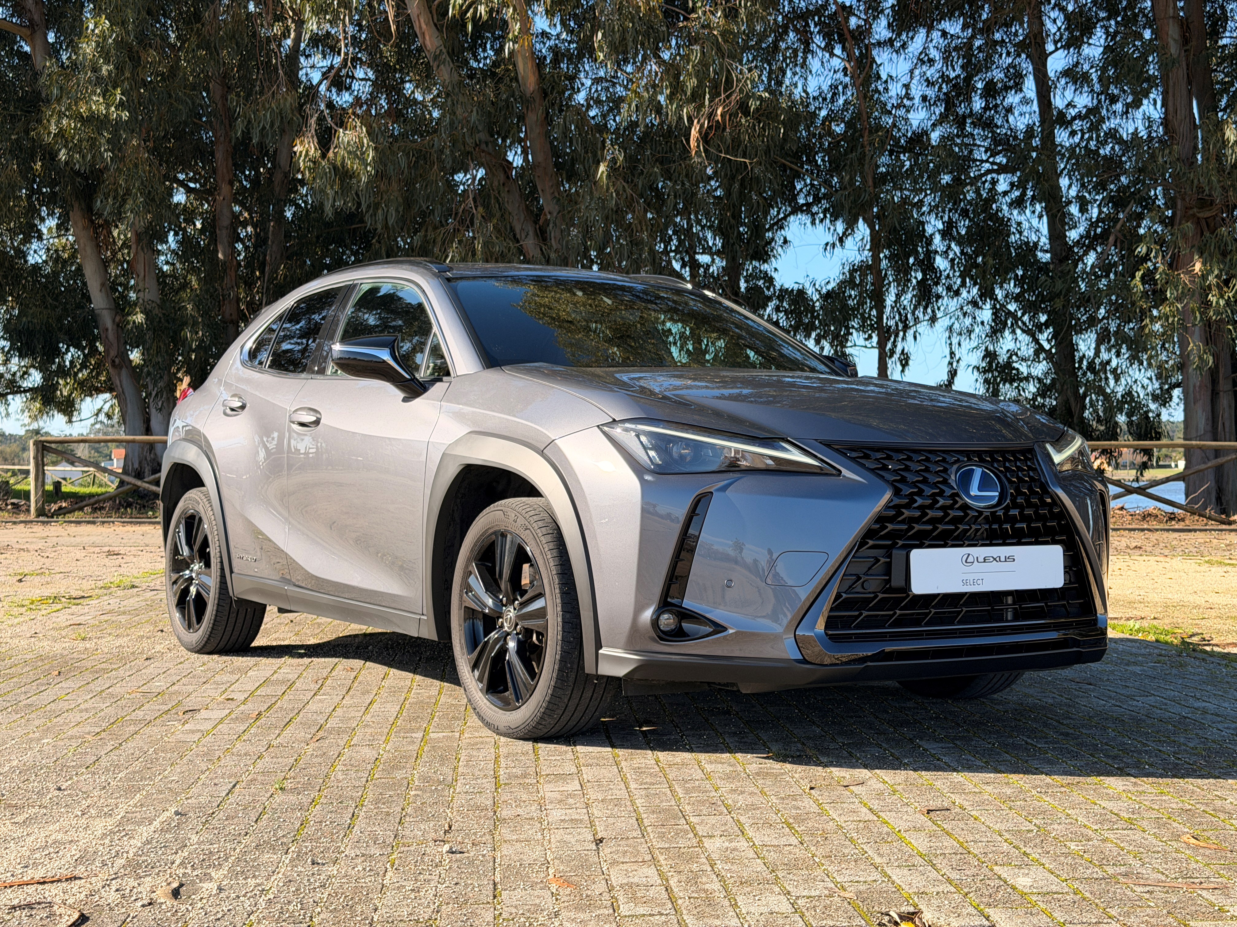 LEXUS UX 250H UX 250h Special Edition